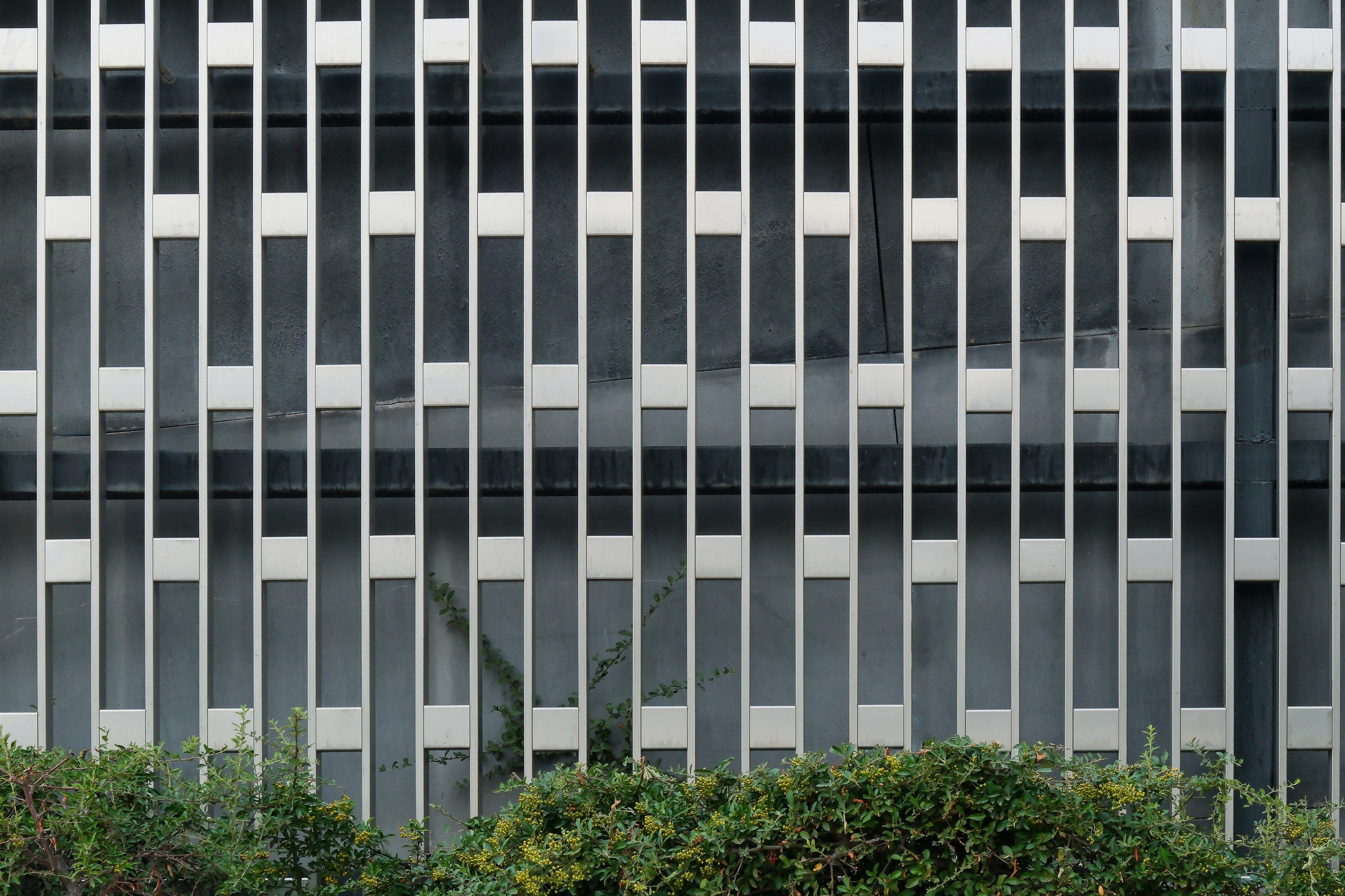 Парк «Краснодар» | gmp Architekten | 2025. Михаил Мулач | Архитектурный фотограф