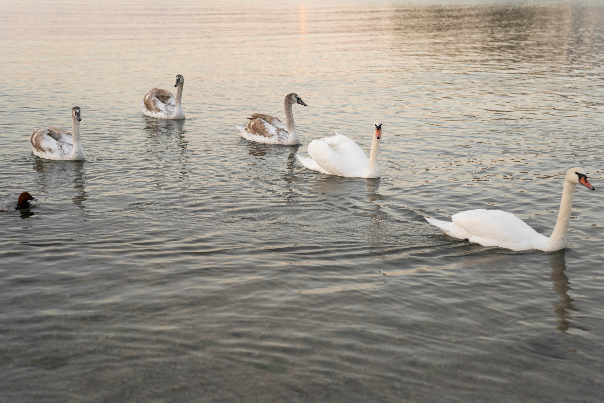 Ира с Мишей на Омеге. Фотограф Севастополь — Климова Анастасия