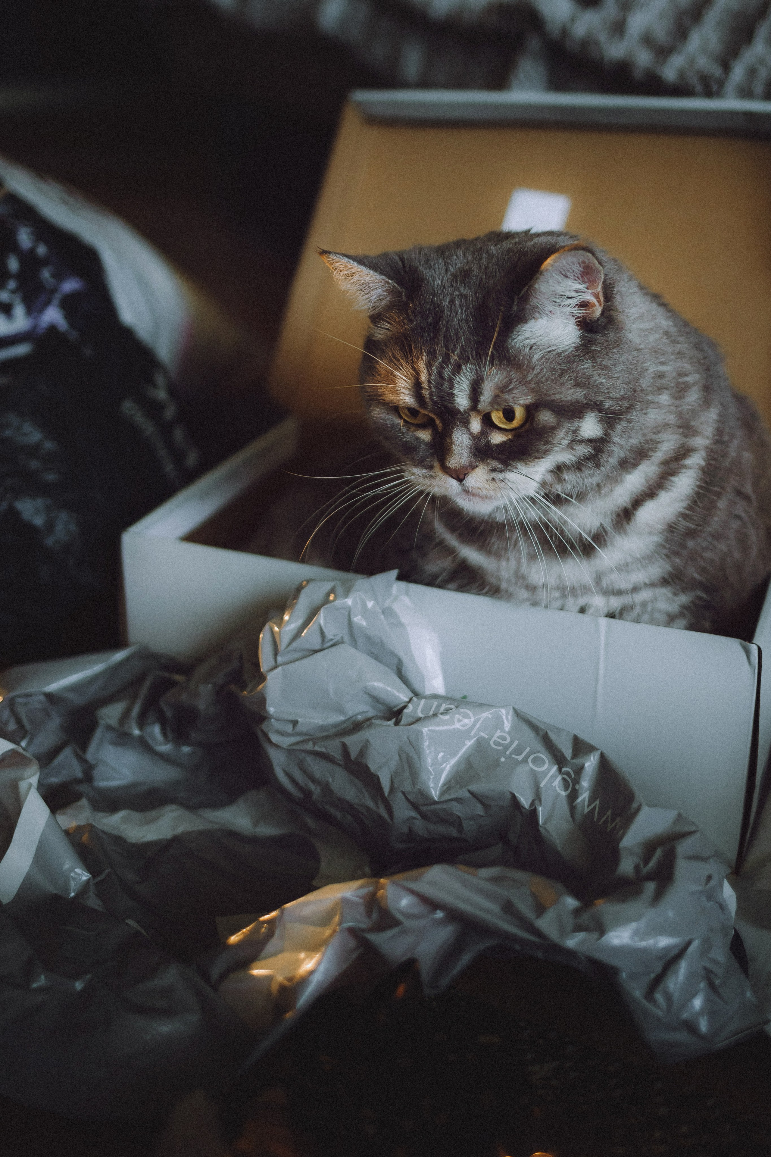 Яся и ее семья