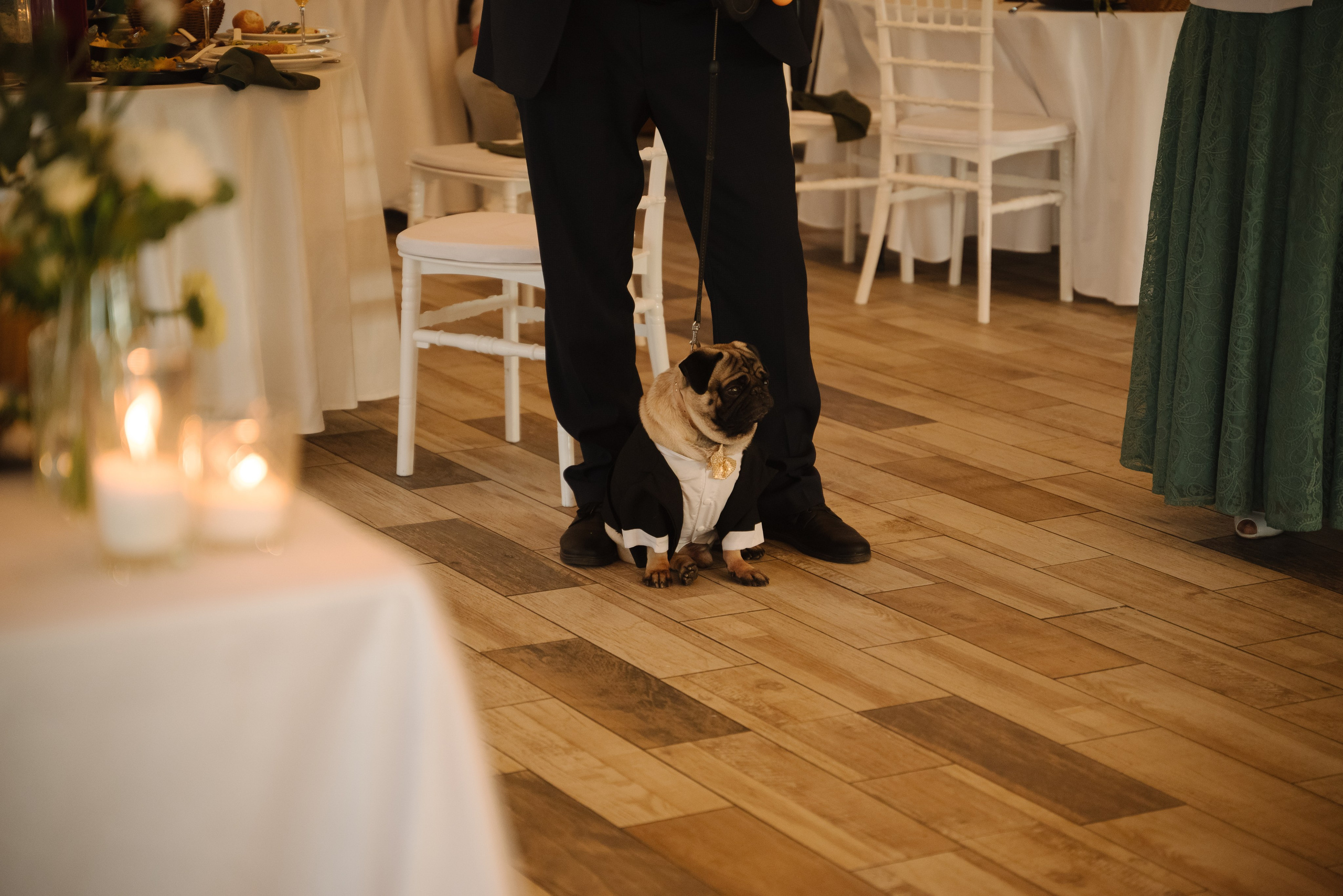 Что было после. Ваш свадебный и семейный фотограф