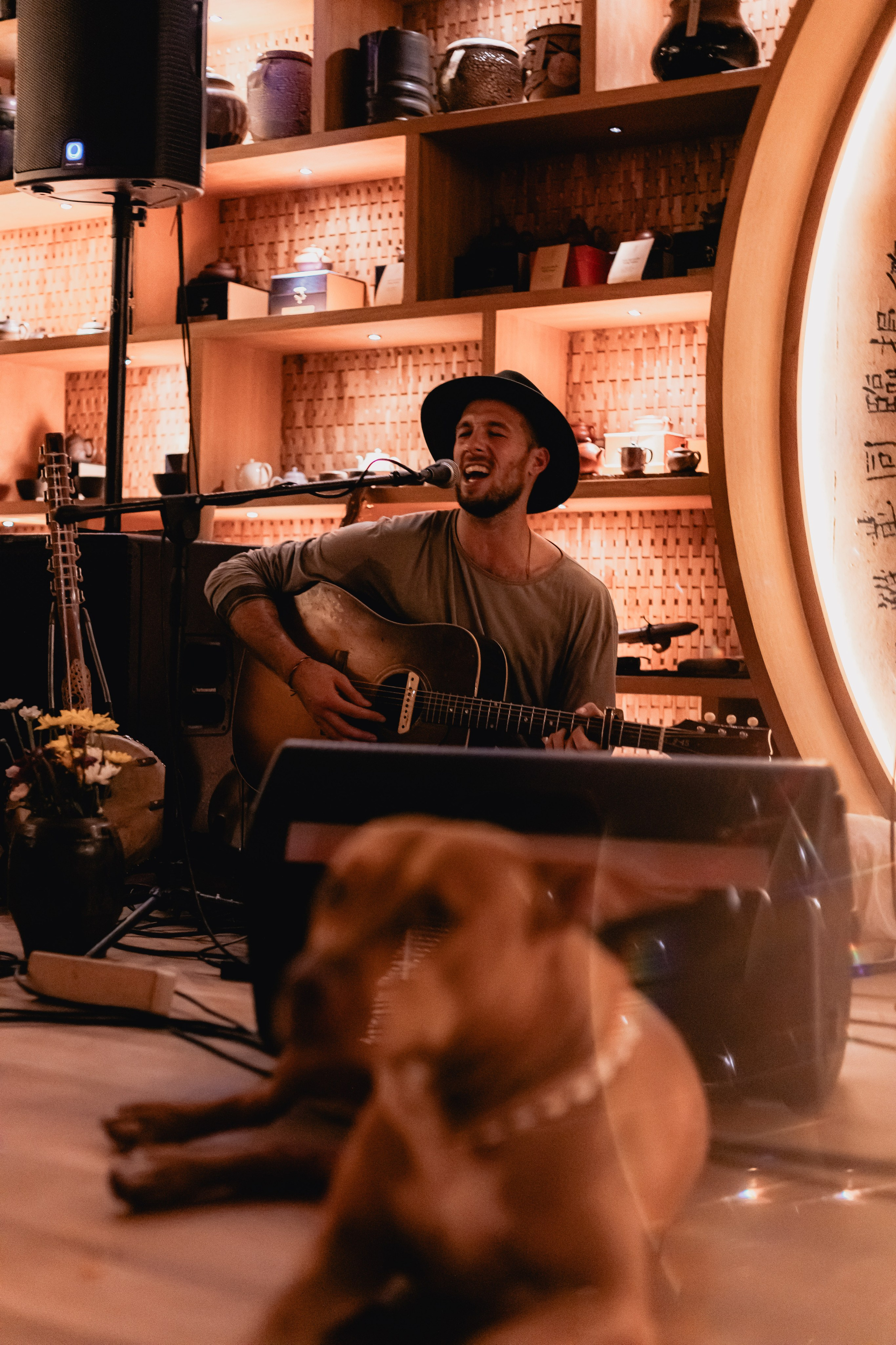 Zest New year. Мариам Багдасарян