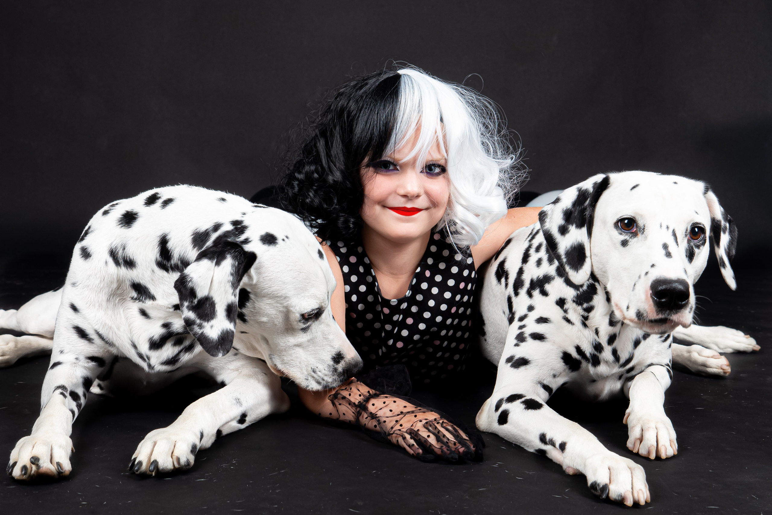 Далматины 2024. Фотограф на Камчатке Анна Моргачёва. Семейные и детские съёмки