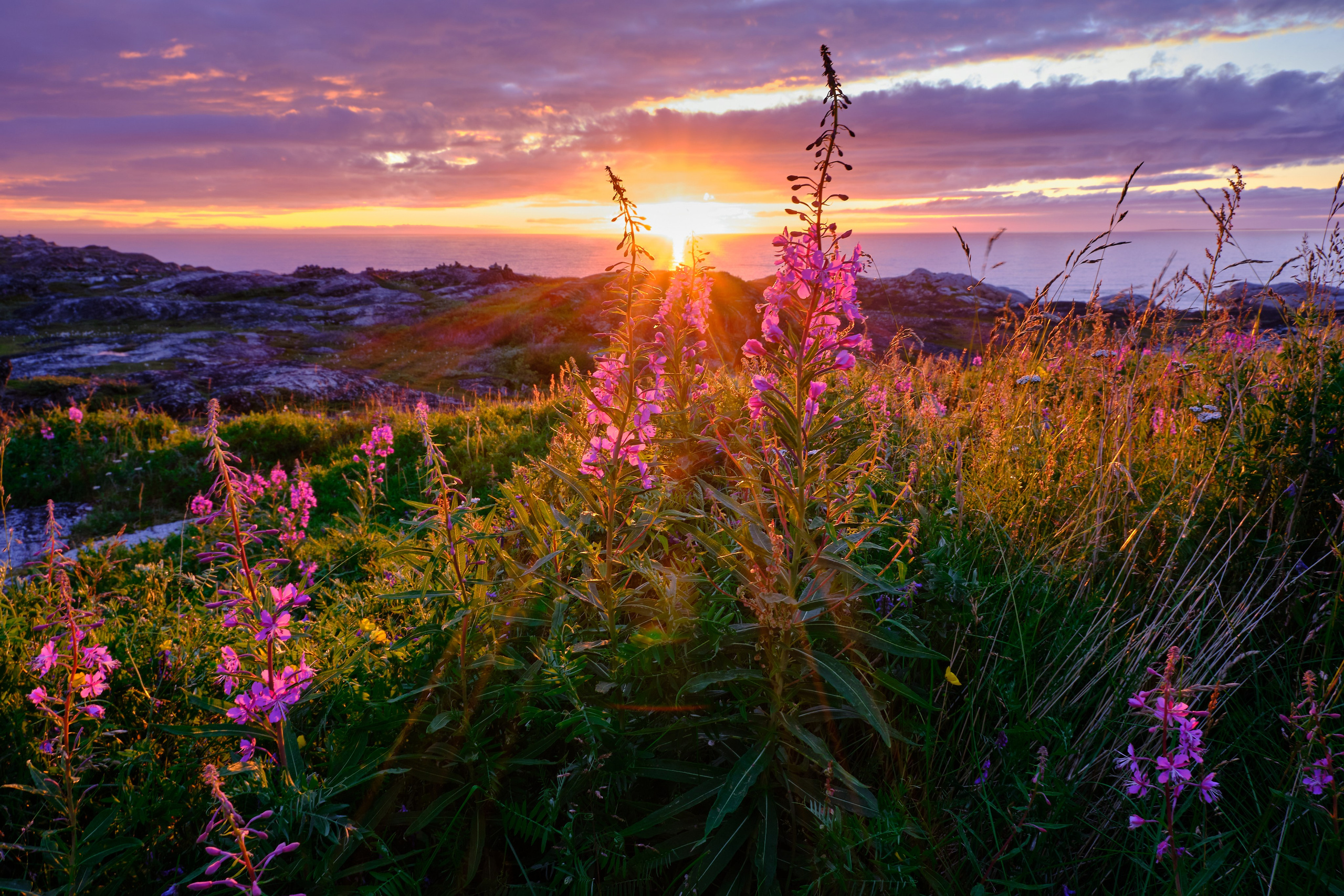 Солнечные ночи Крайнего Севера. Пейзажи Крайнего Севера. Баренцево море, Рыбачий, Средний, Немецкий