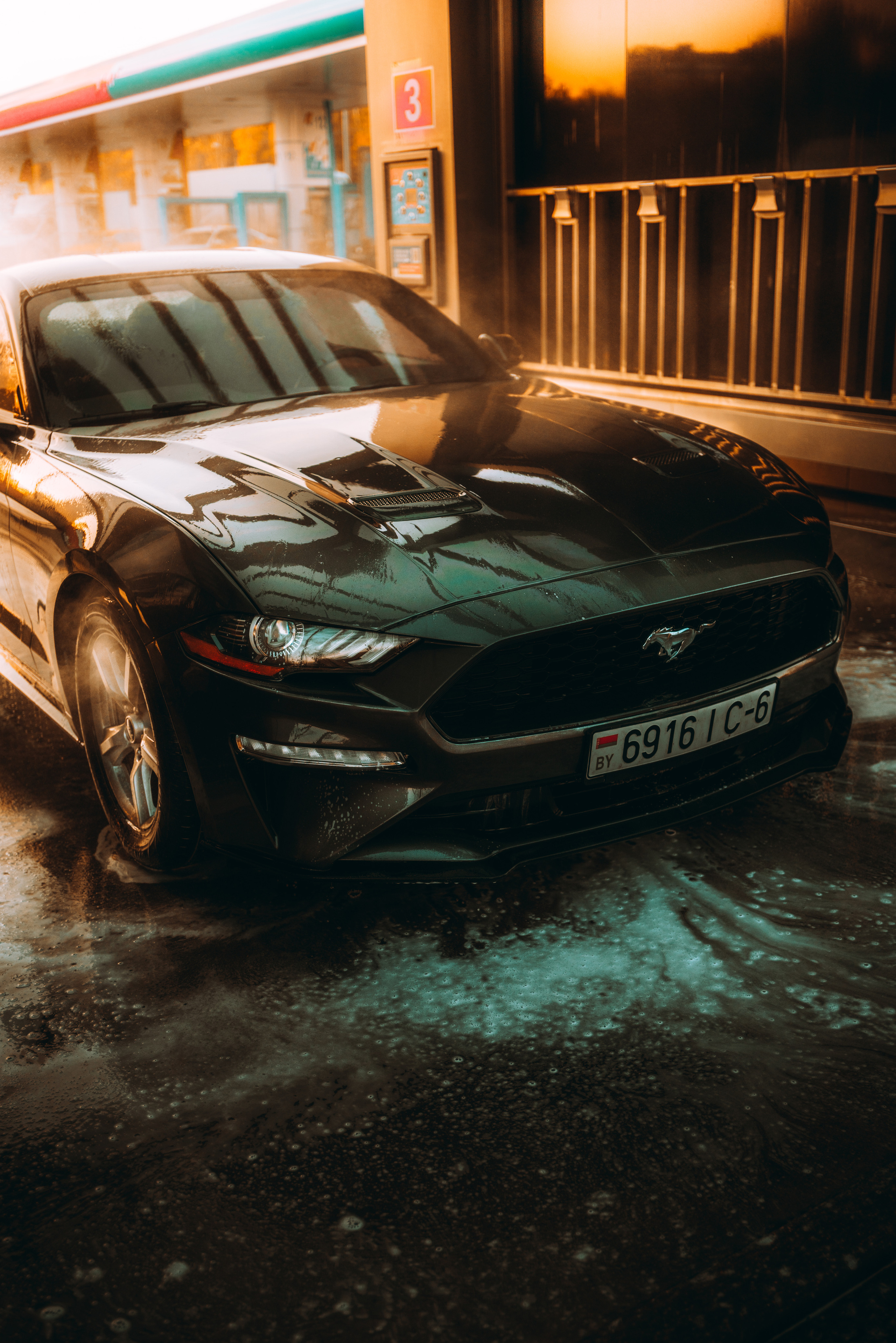 Ford Mustang Photographs