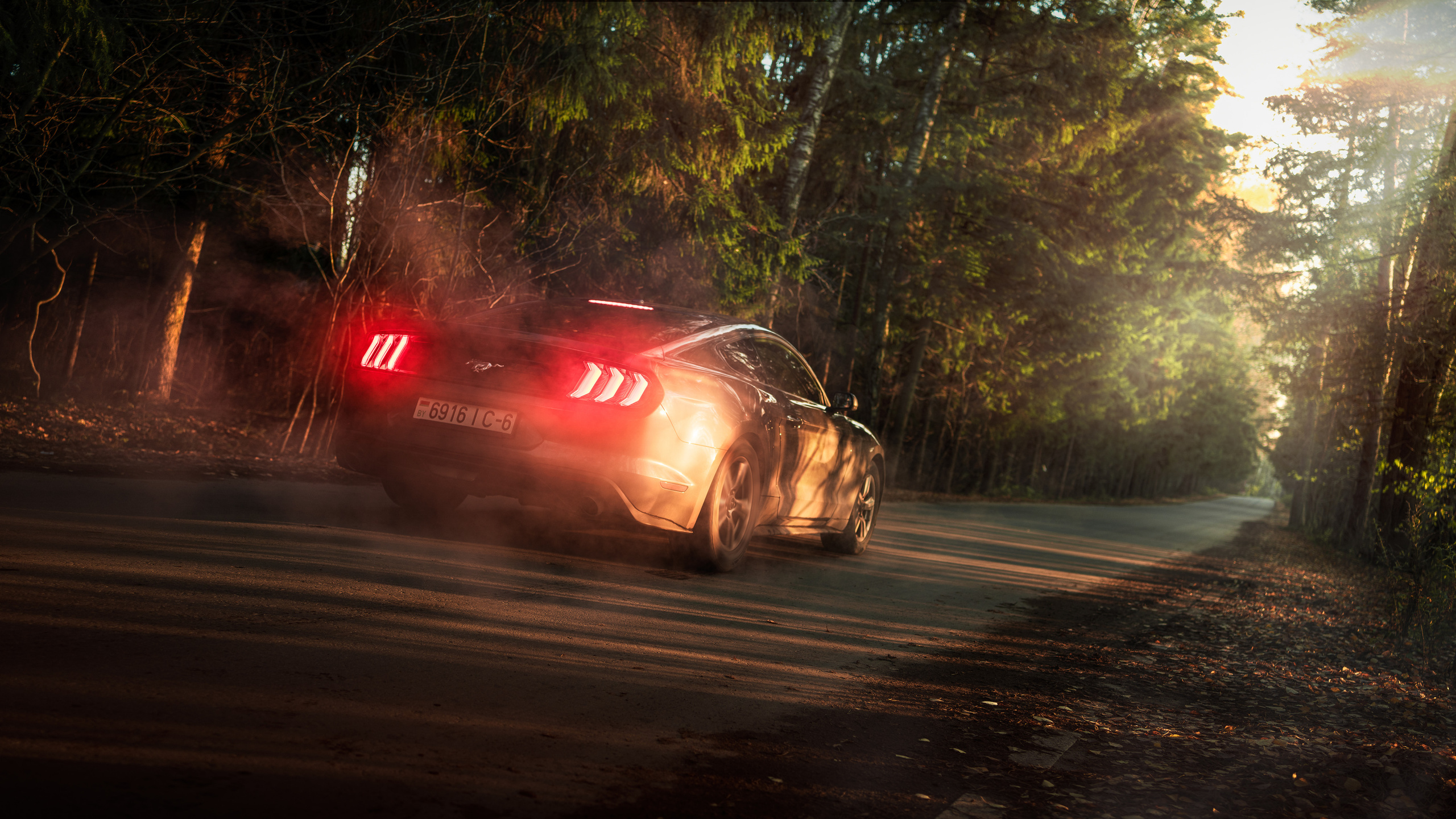 Ford Mustang Photographs