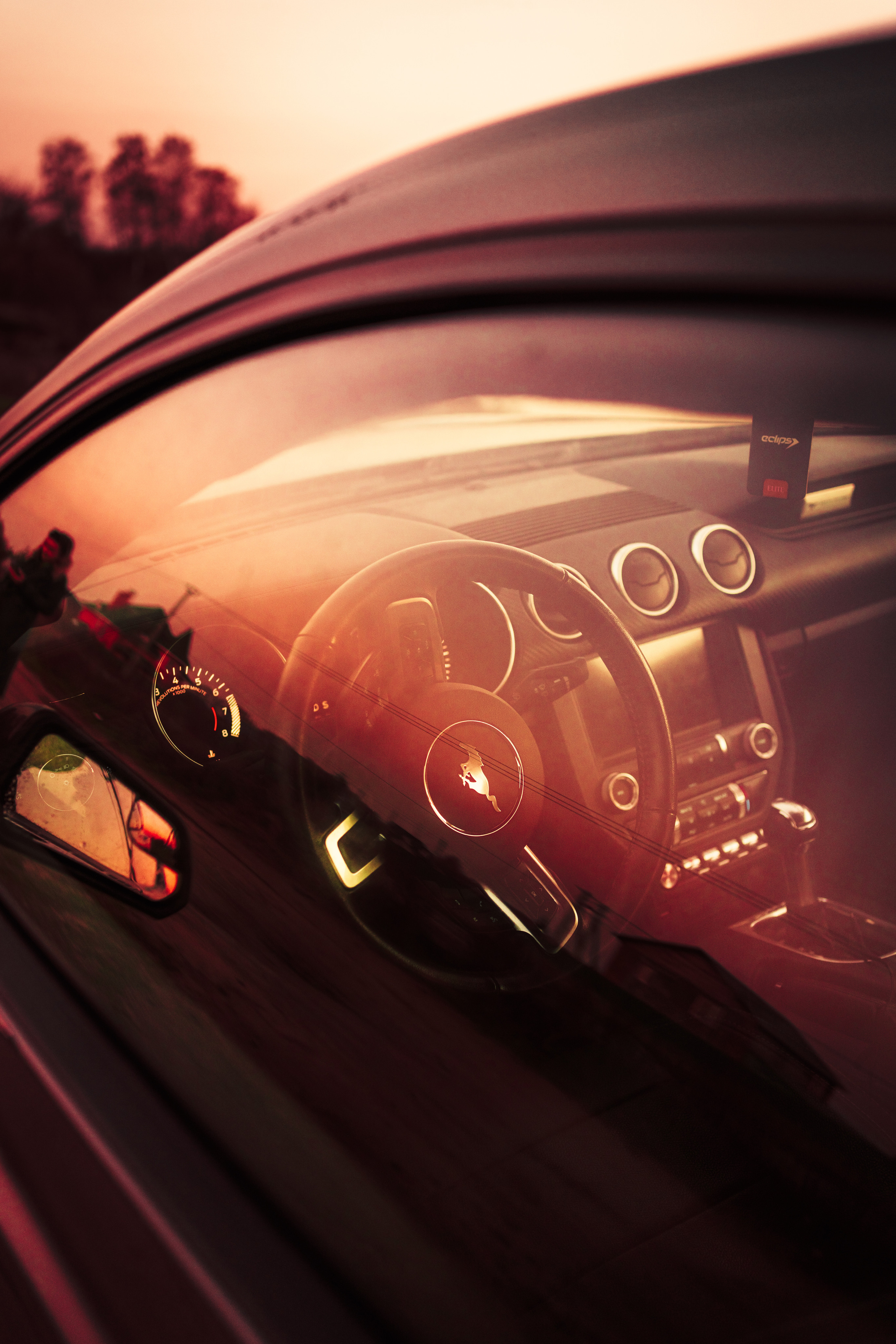 Ford Mustang Photographs