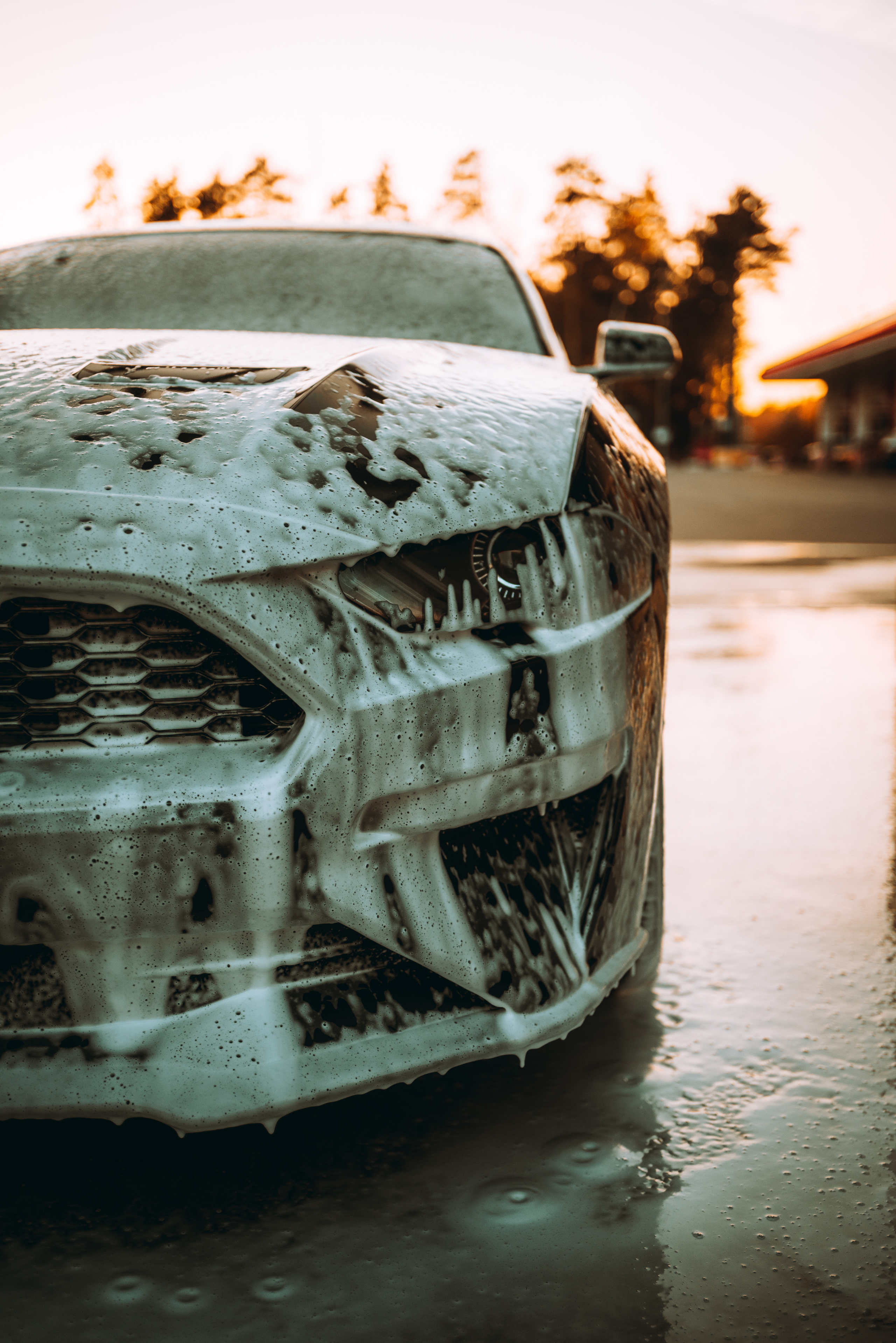 Ford Mustang Photographs