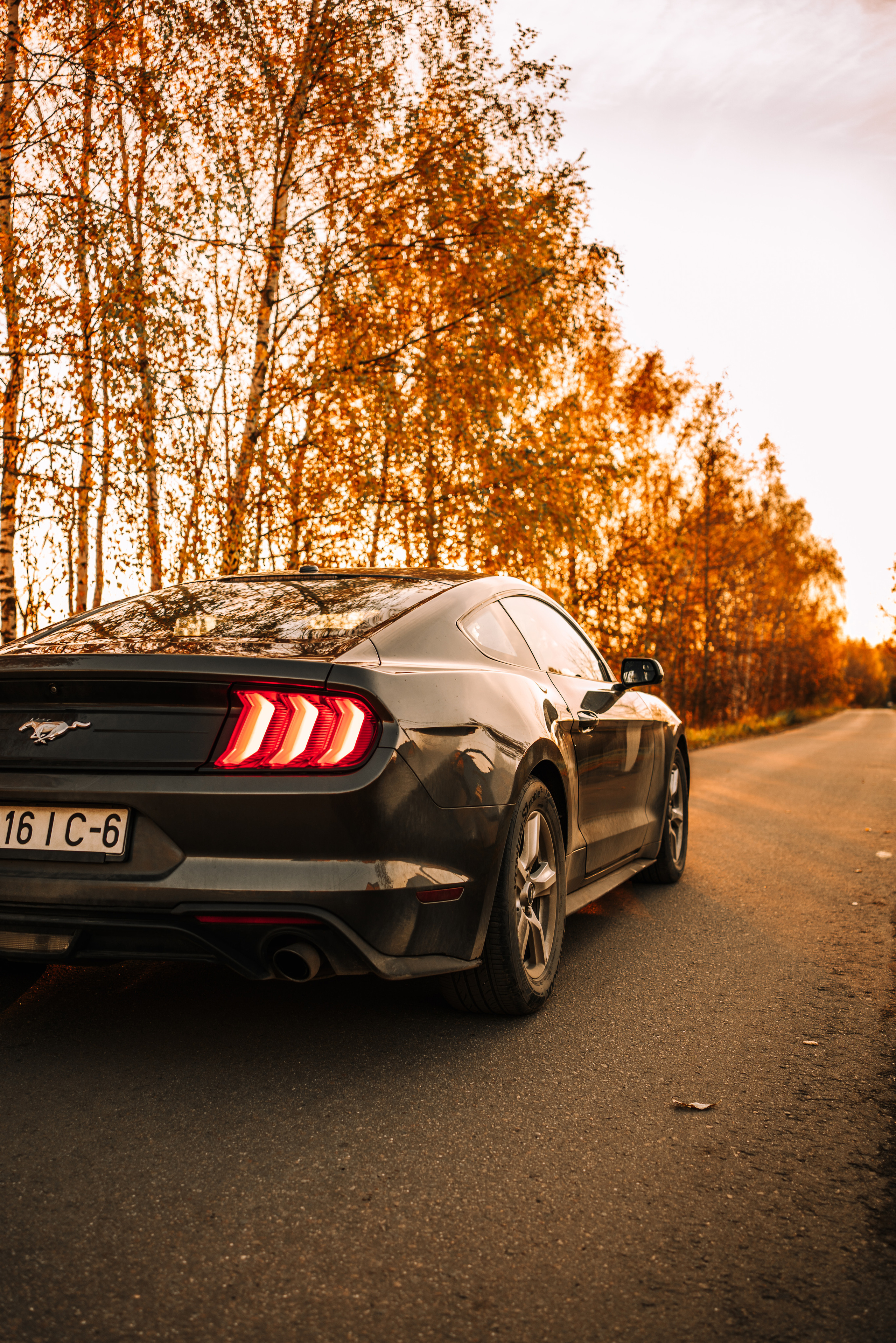 Ford Mustang Photographs