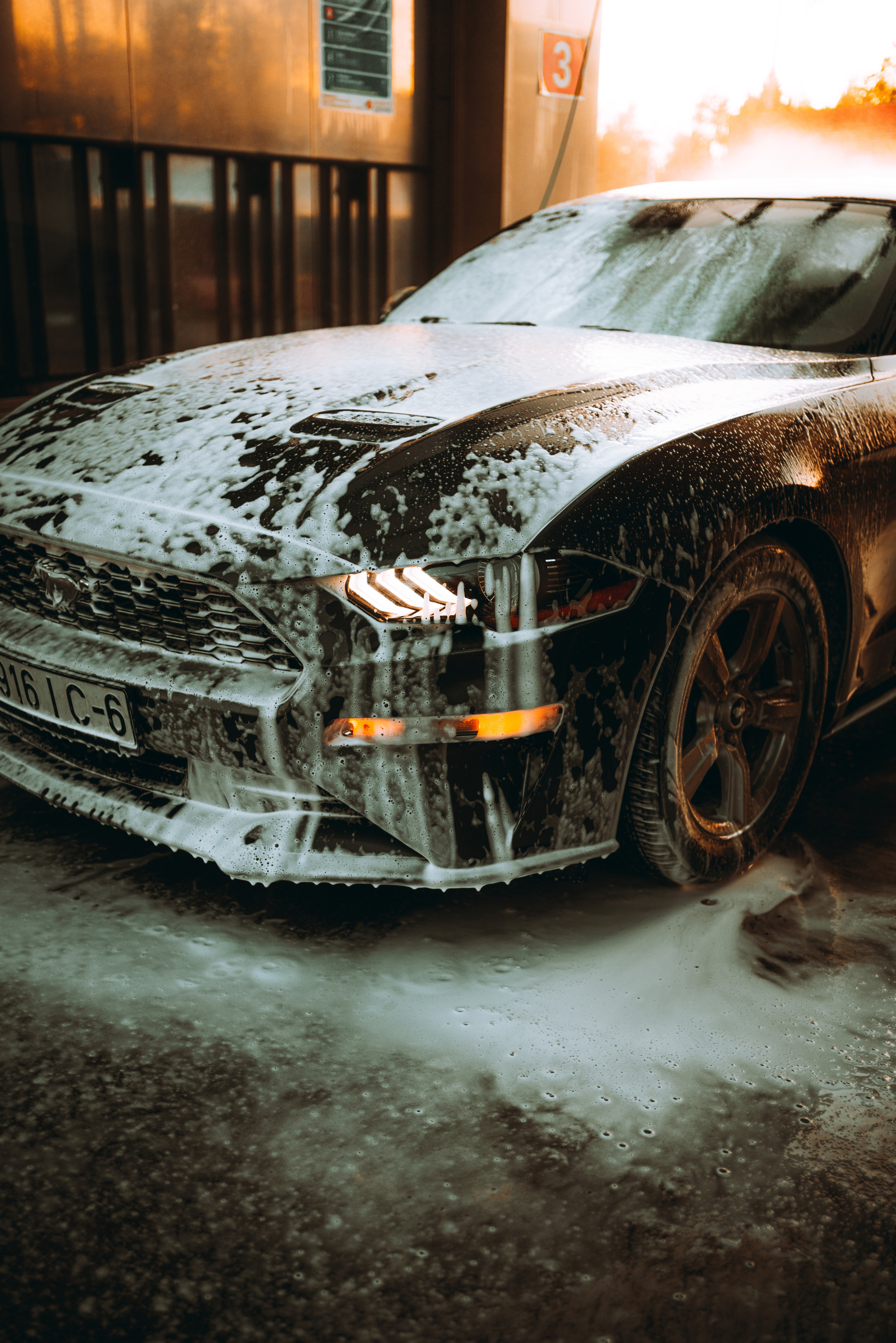 Ford Mustang Photographs