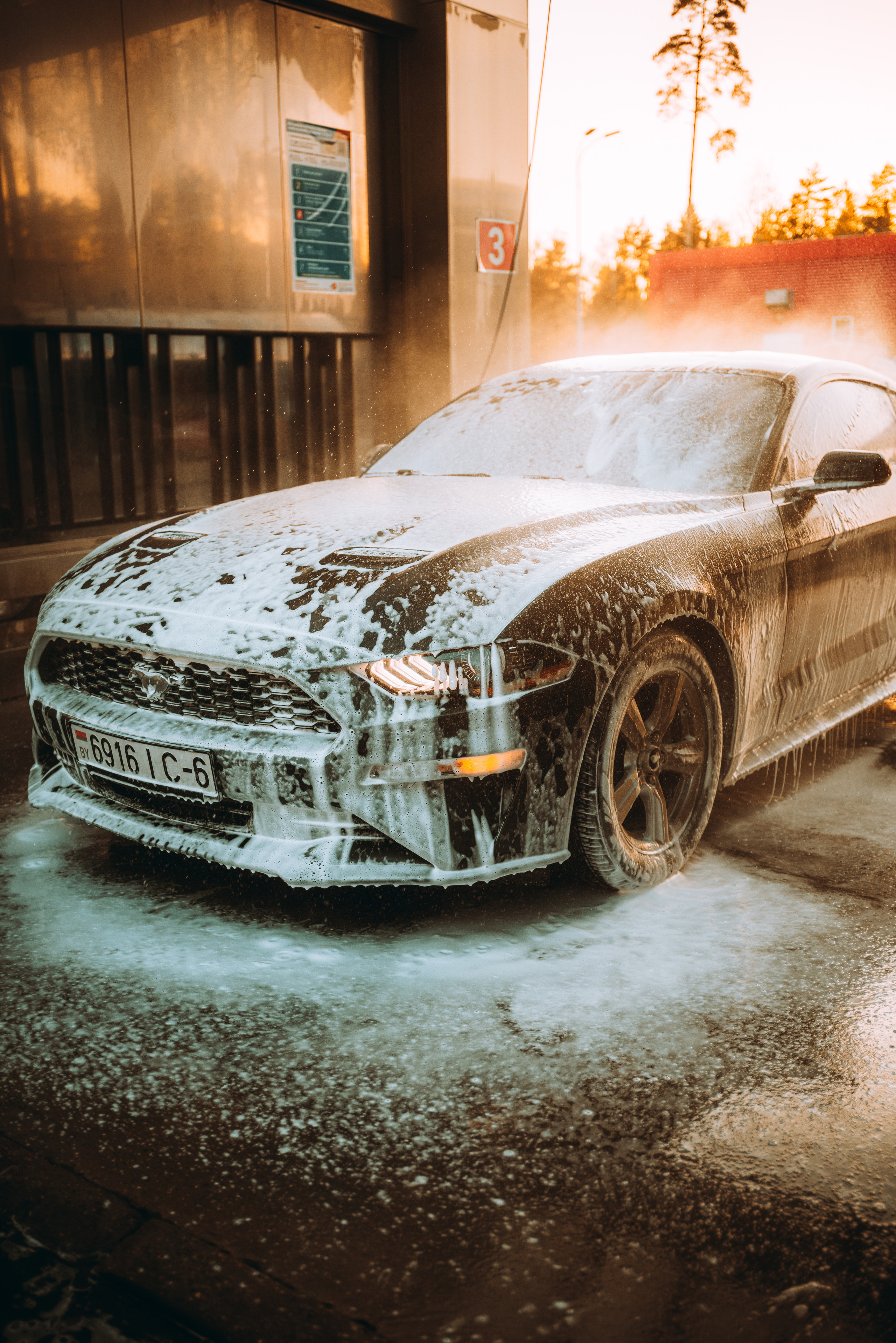 Ford Mustang Photographs