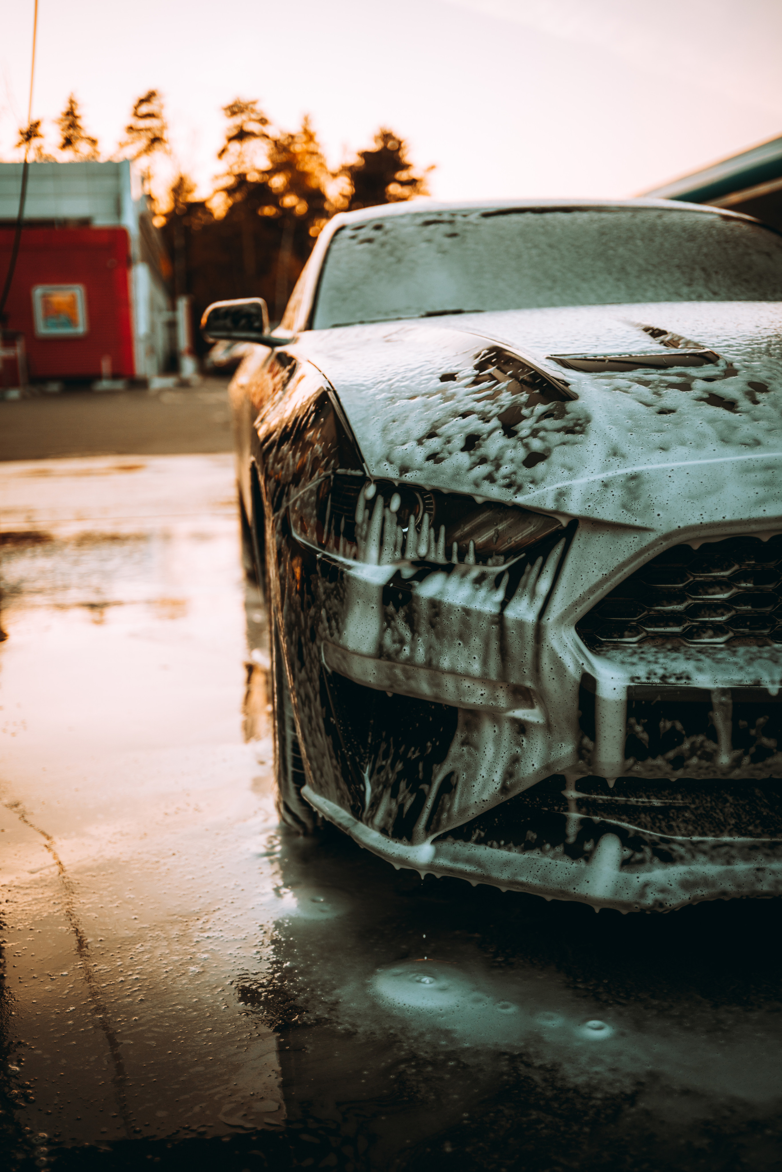 Ford Mustang Photographs