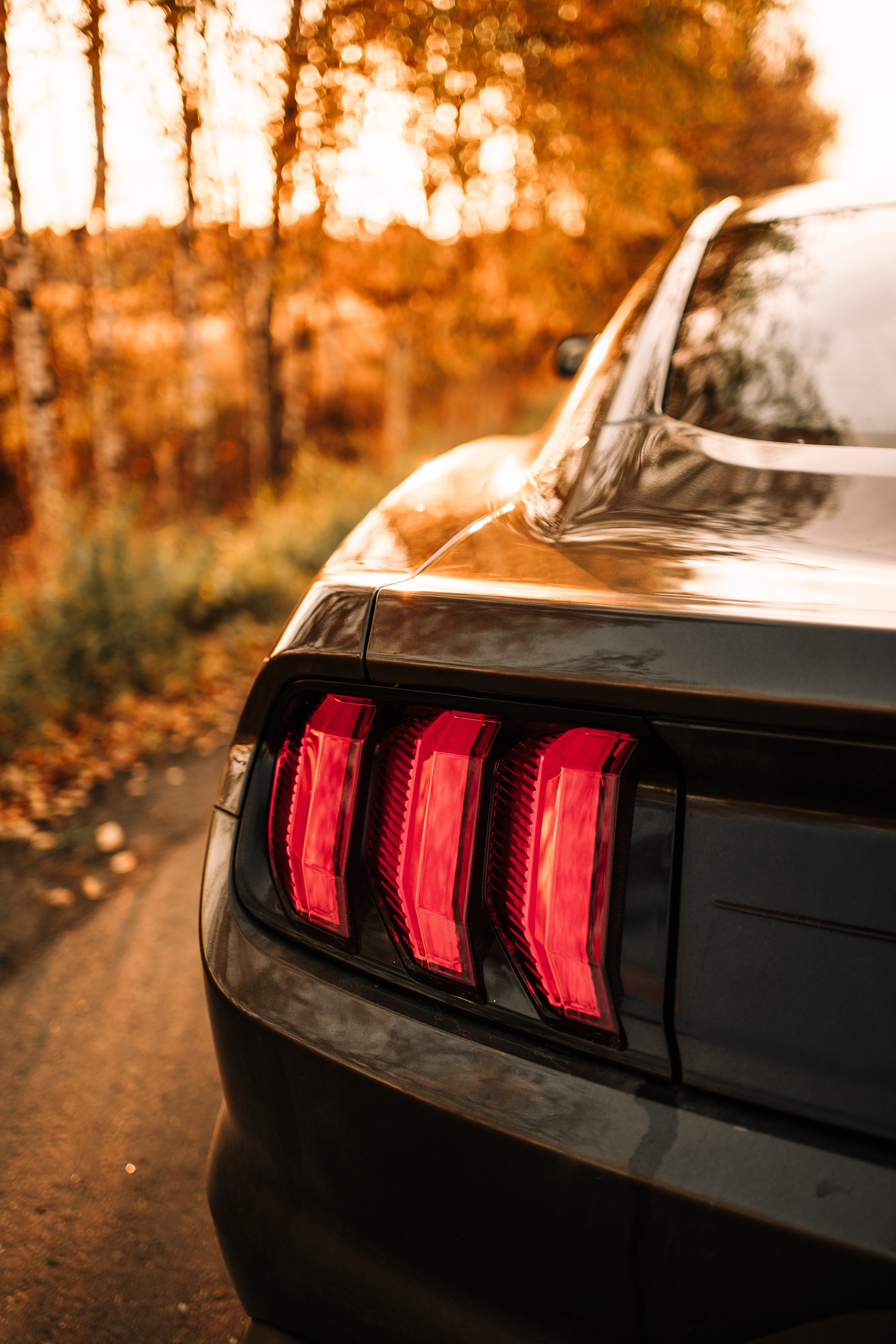 Ford Mustang Photographs