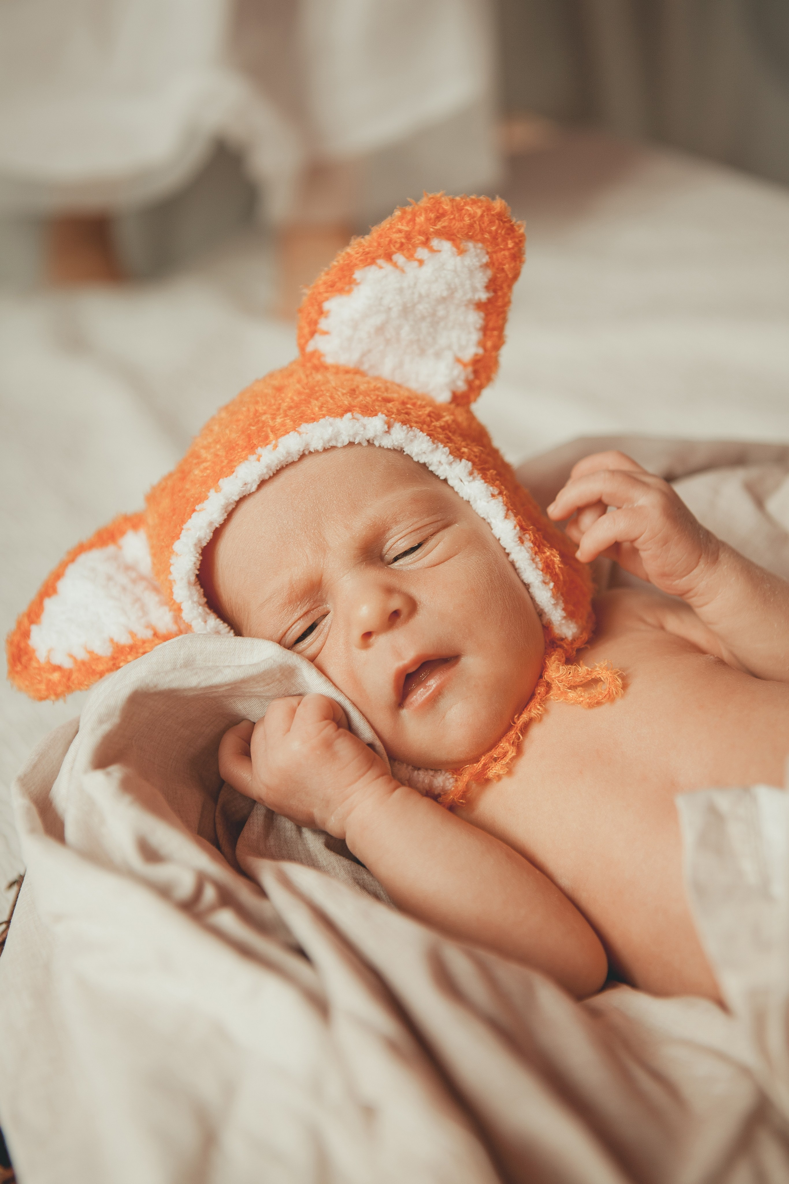 Гордей. Фотограф Ольга Ефремова