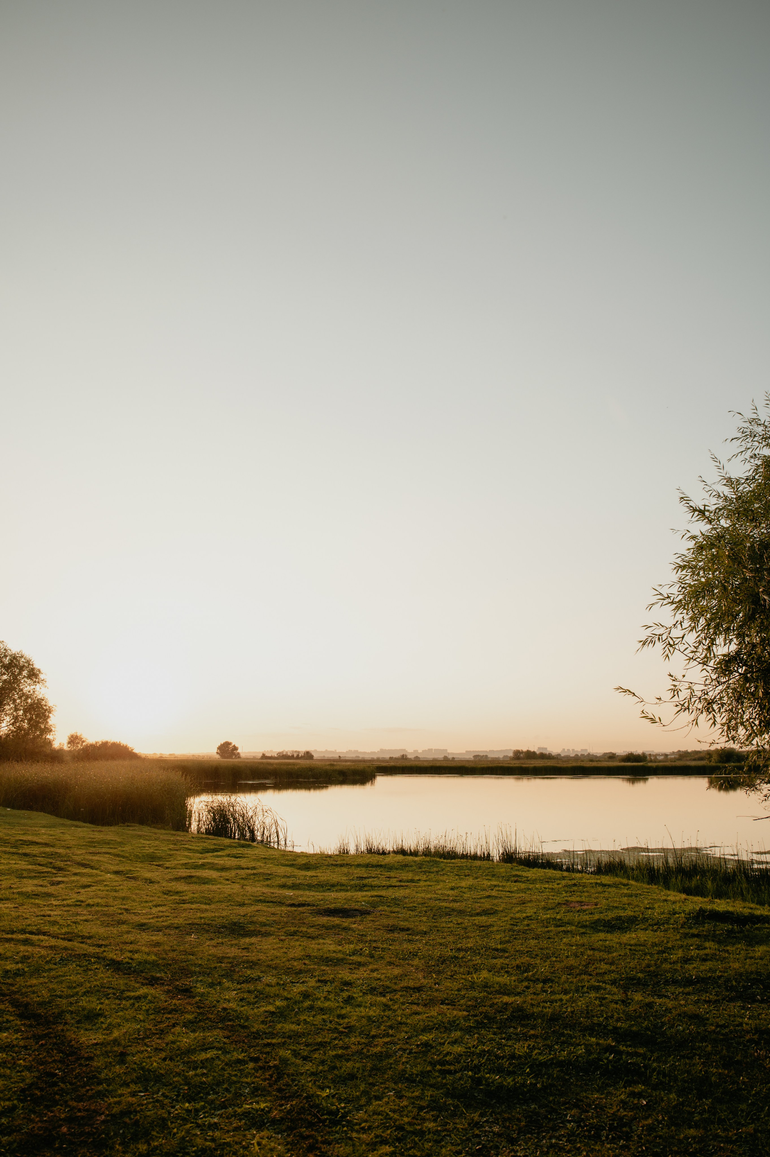 Максим и Лена. Свадебный фотограф Евгения Наумовец