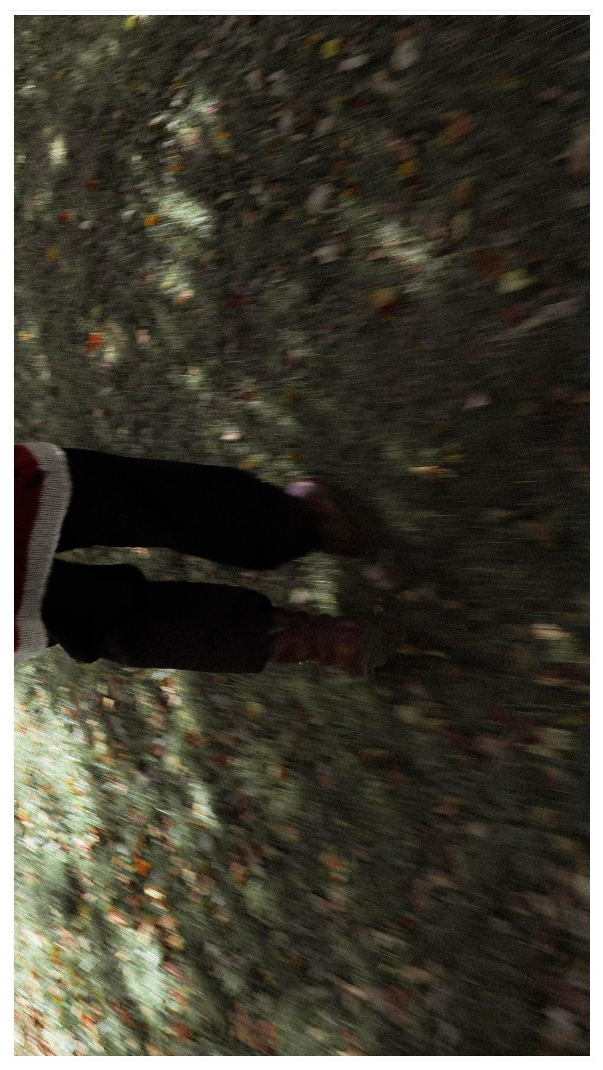 /все что вокруг. Kristina Rashkovskaya