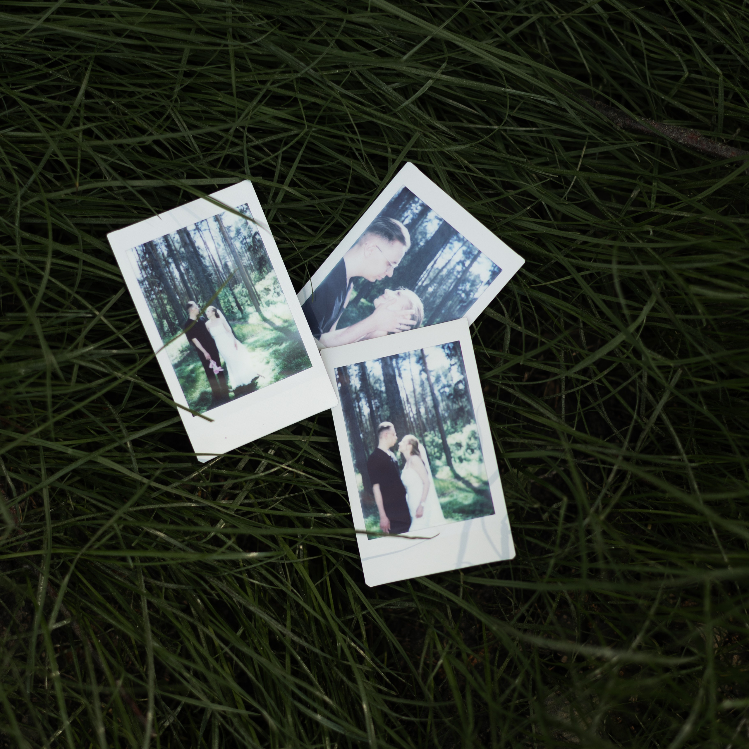 Валерия и Александр. Фотограф Алина Кучумова