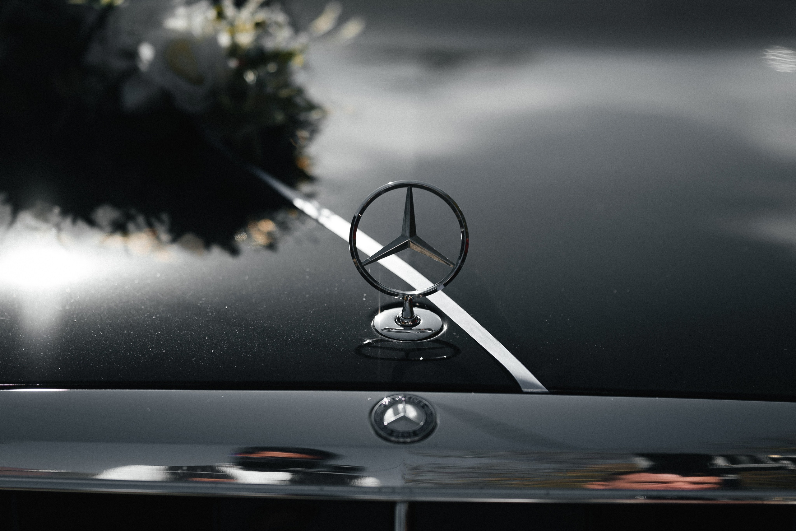 Борик & Анжела. Фотограф в Краснодарском крае Александр Шульга