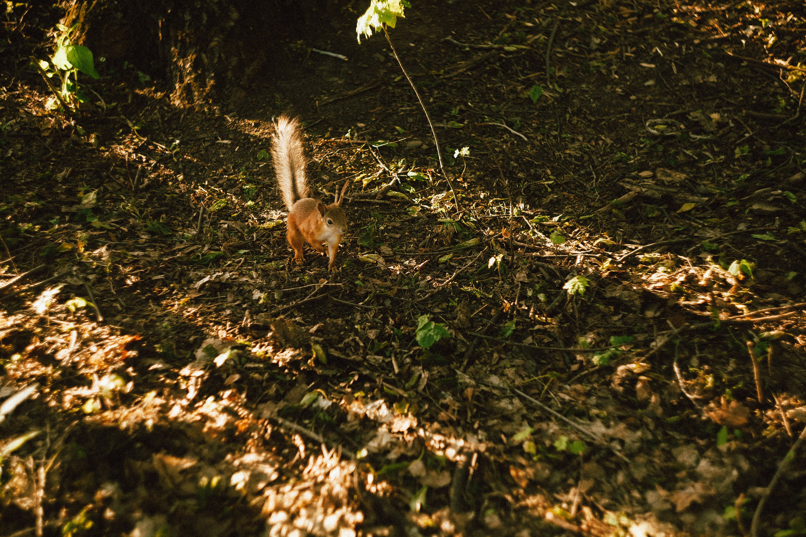 Егор. Леонид Рябов — фотограф в Нижнем Новгороде