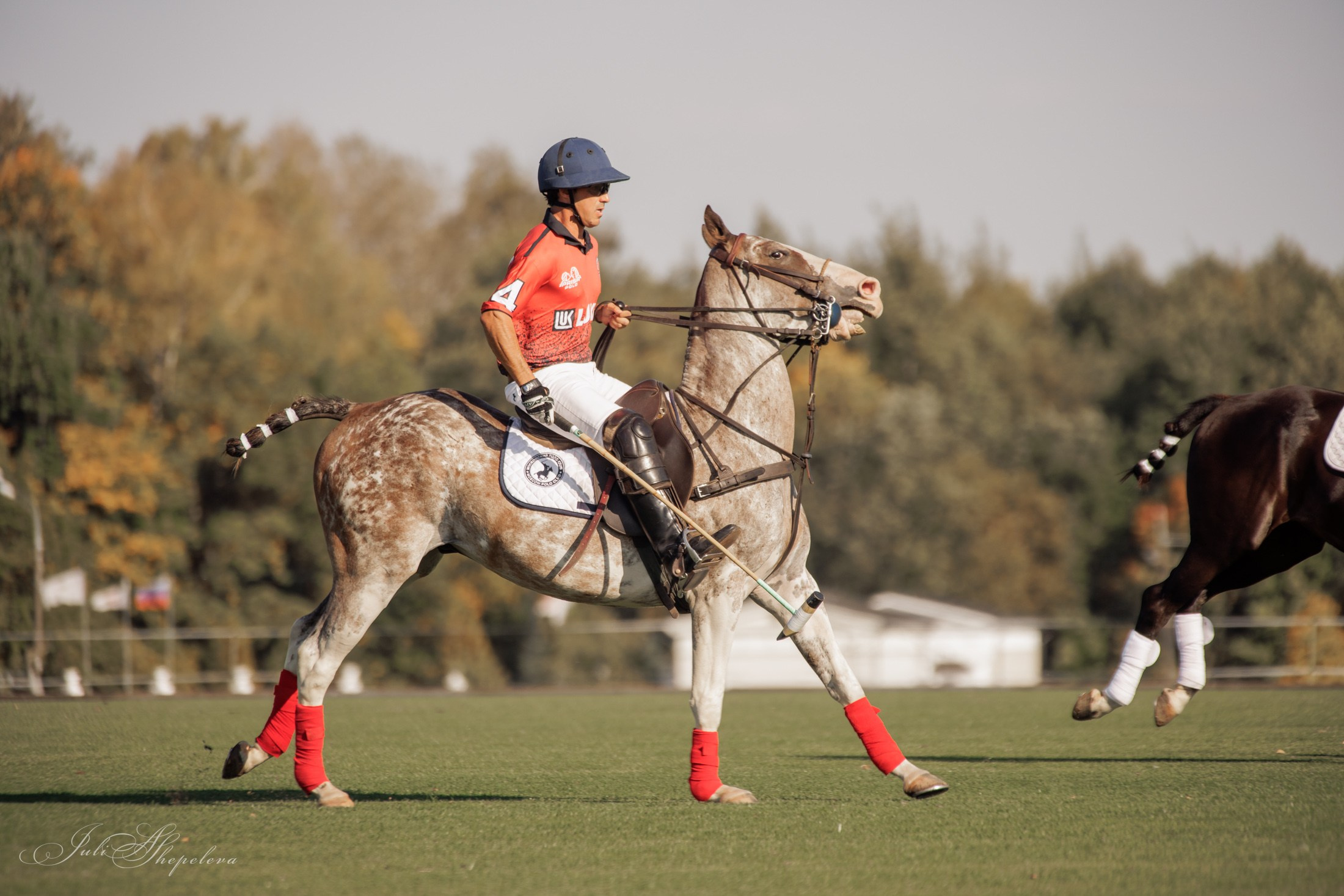 Осенний кубок по конному поло. Детская Конная фотография в Москве Юлия Шепелева