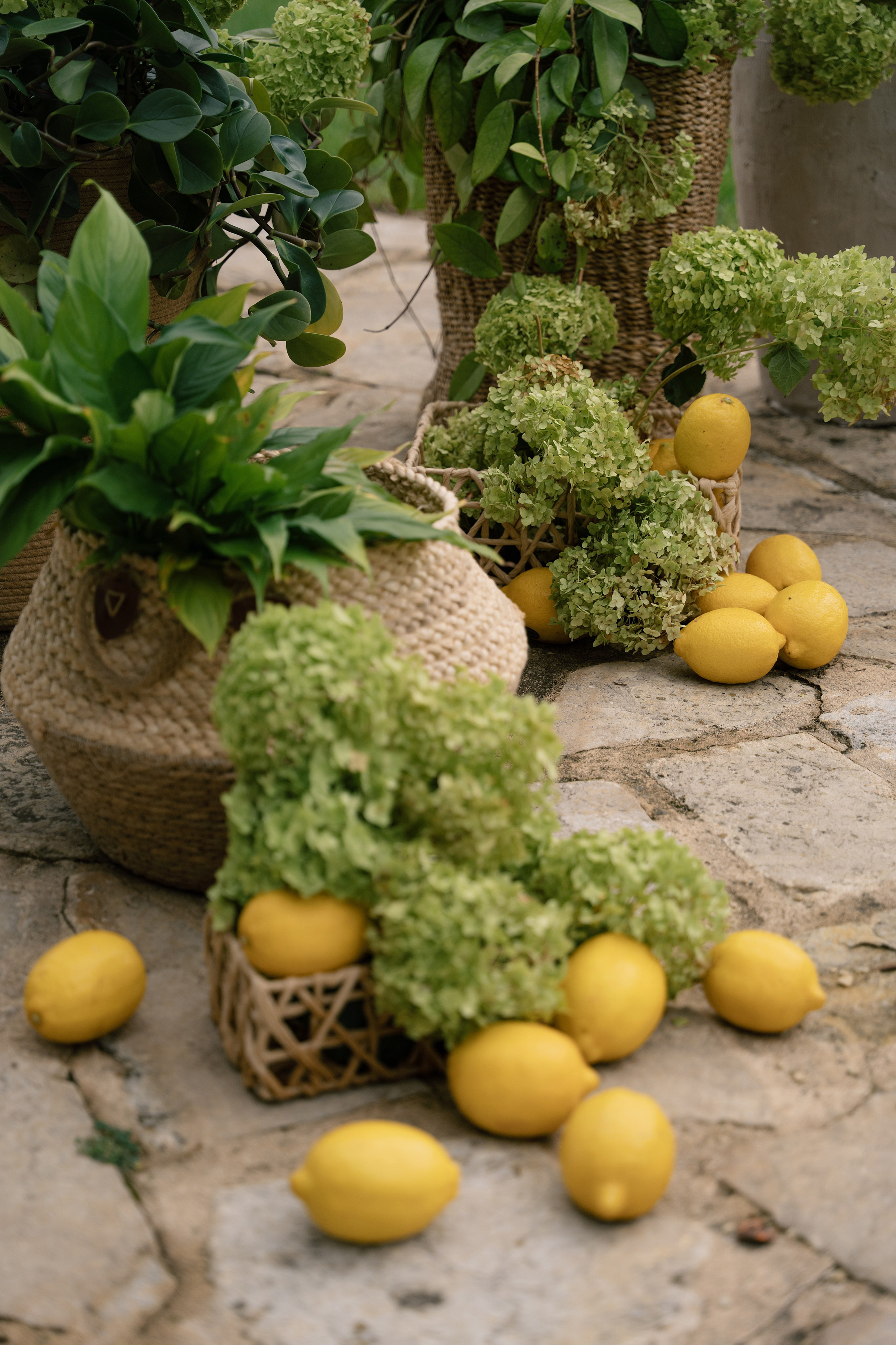 A&A. Пушистая Сова - Свадебный и портретный фотограф Воронеж, Москва, Питер