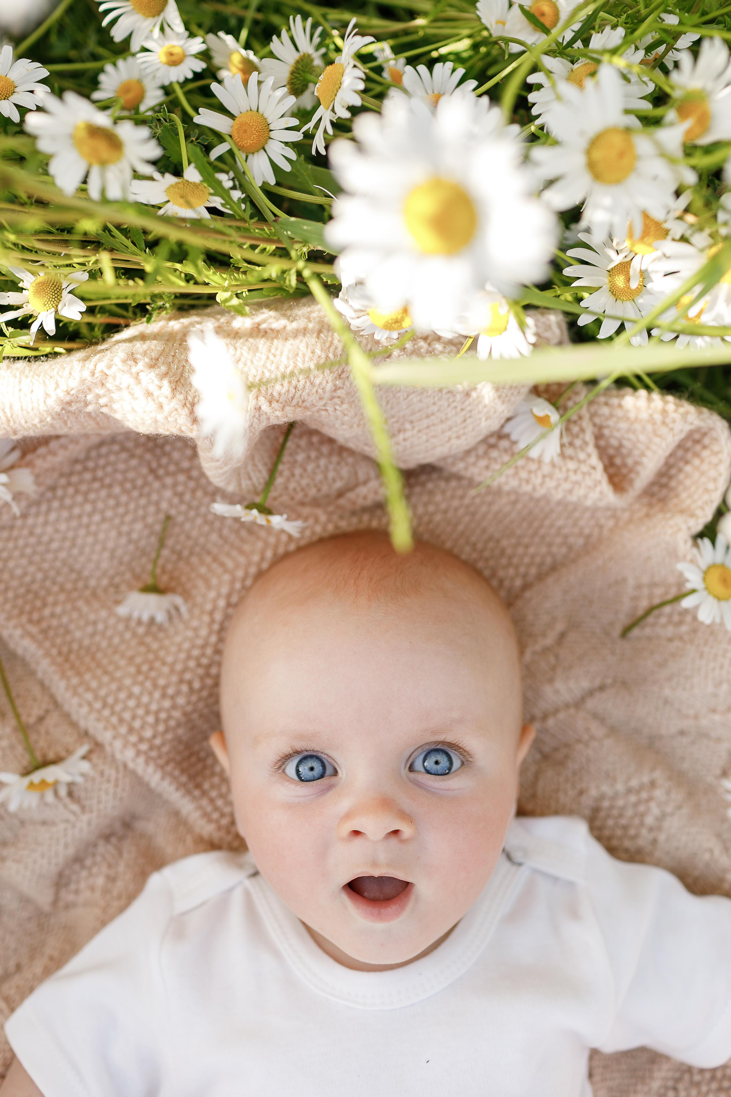 Утопая в ромашках. Крым фото, отдых Крым, Севастополь фото, Свадьба фото, Олег Горбатко