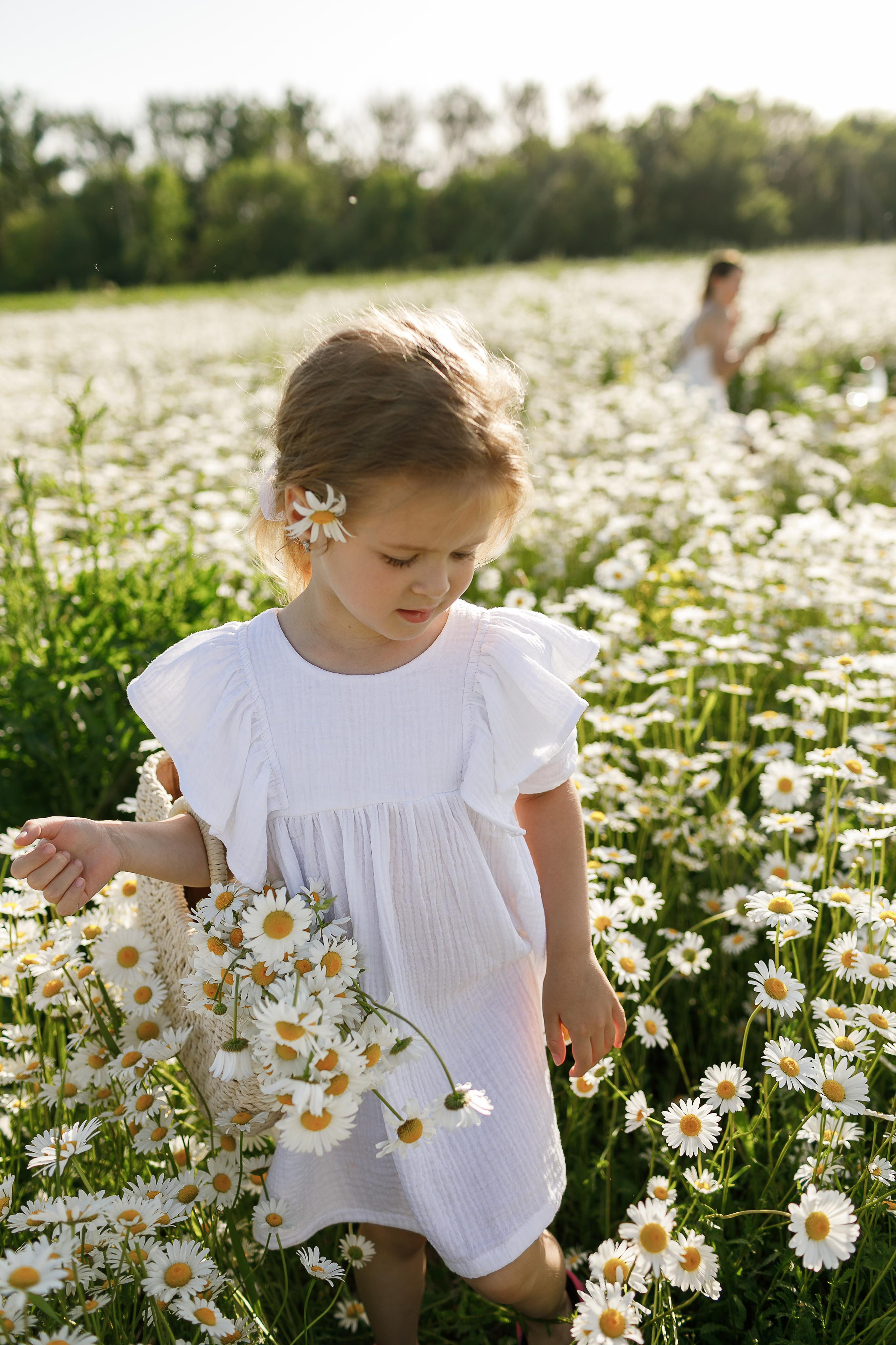 Утопая в ромашках. Крым фото, отдых Крым, Севастополь фото, Свадьба фото, Олег Горбатко