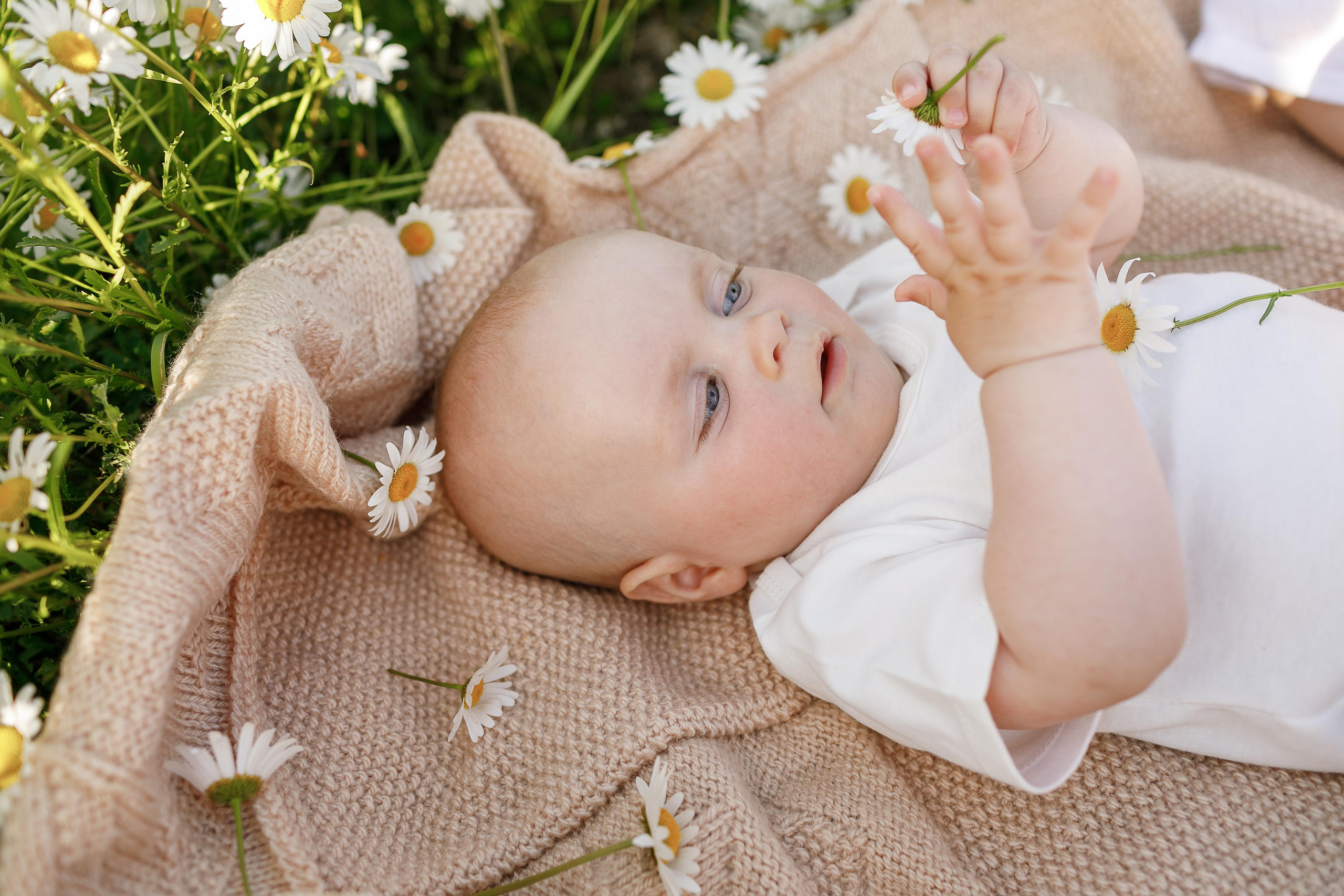 Утопая в ромашках. Крым фото, отдых Крым, Севастополь фото, Свадьба фото, Олег Горбатко