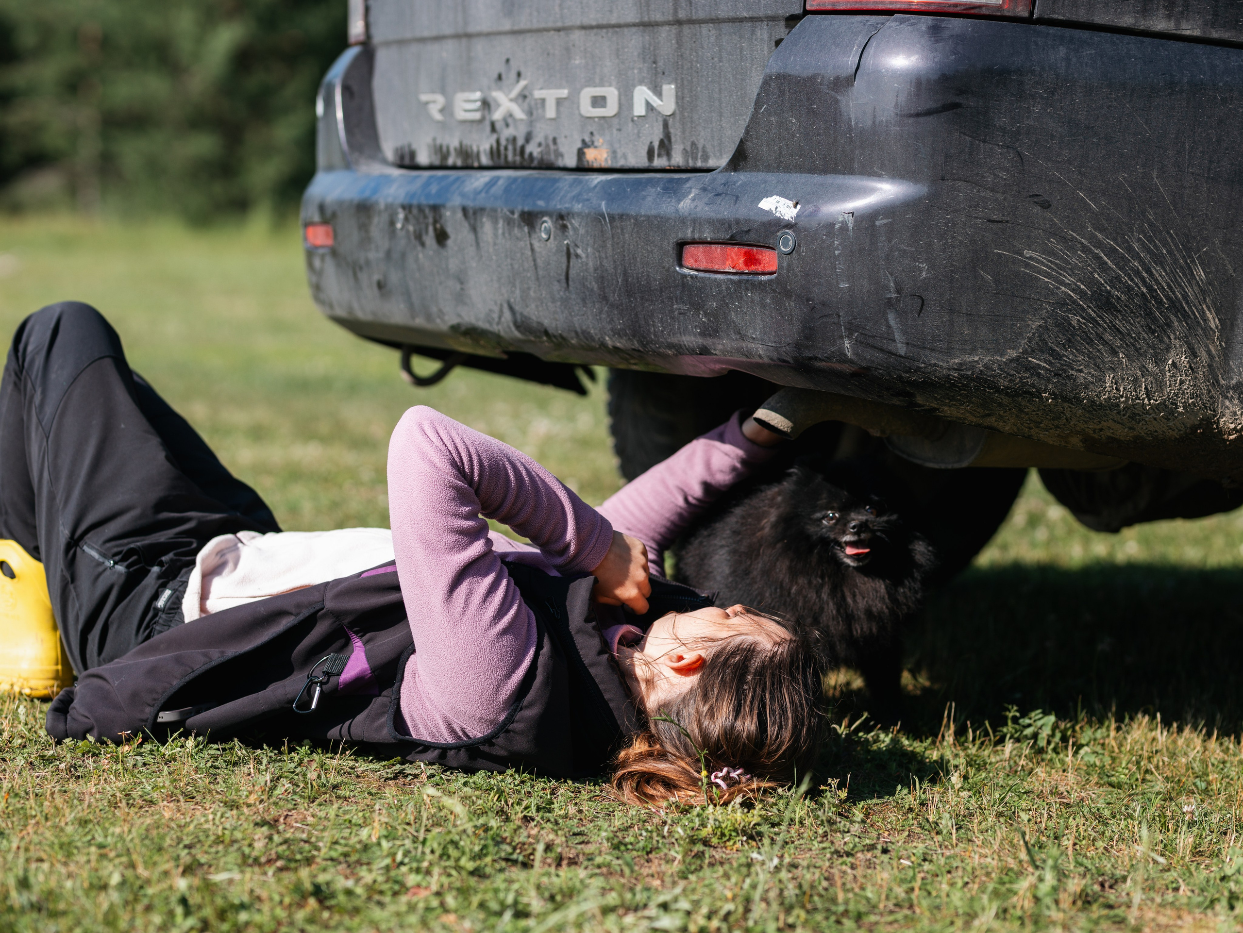 Лагерь ноузворк. Фотограф-анималист в Москве Кириллова Татьяна