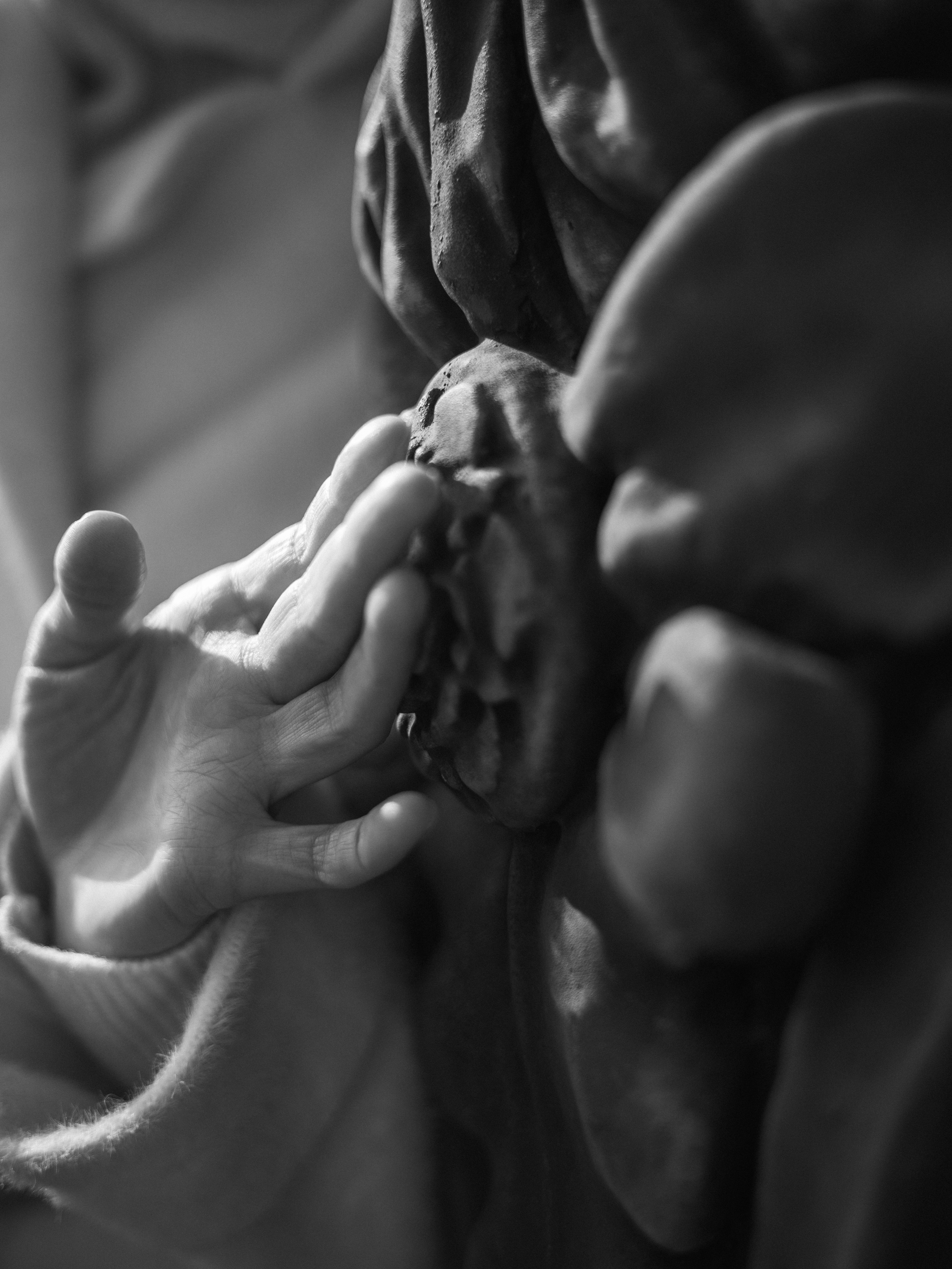 Алёна. Фотограф-анималист в Москве Кириллова Татьяна