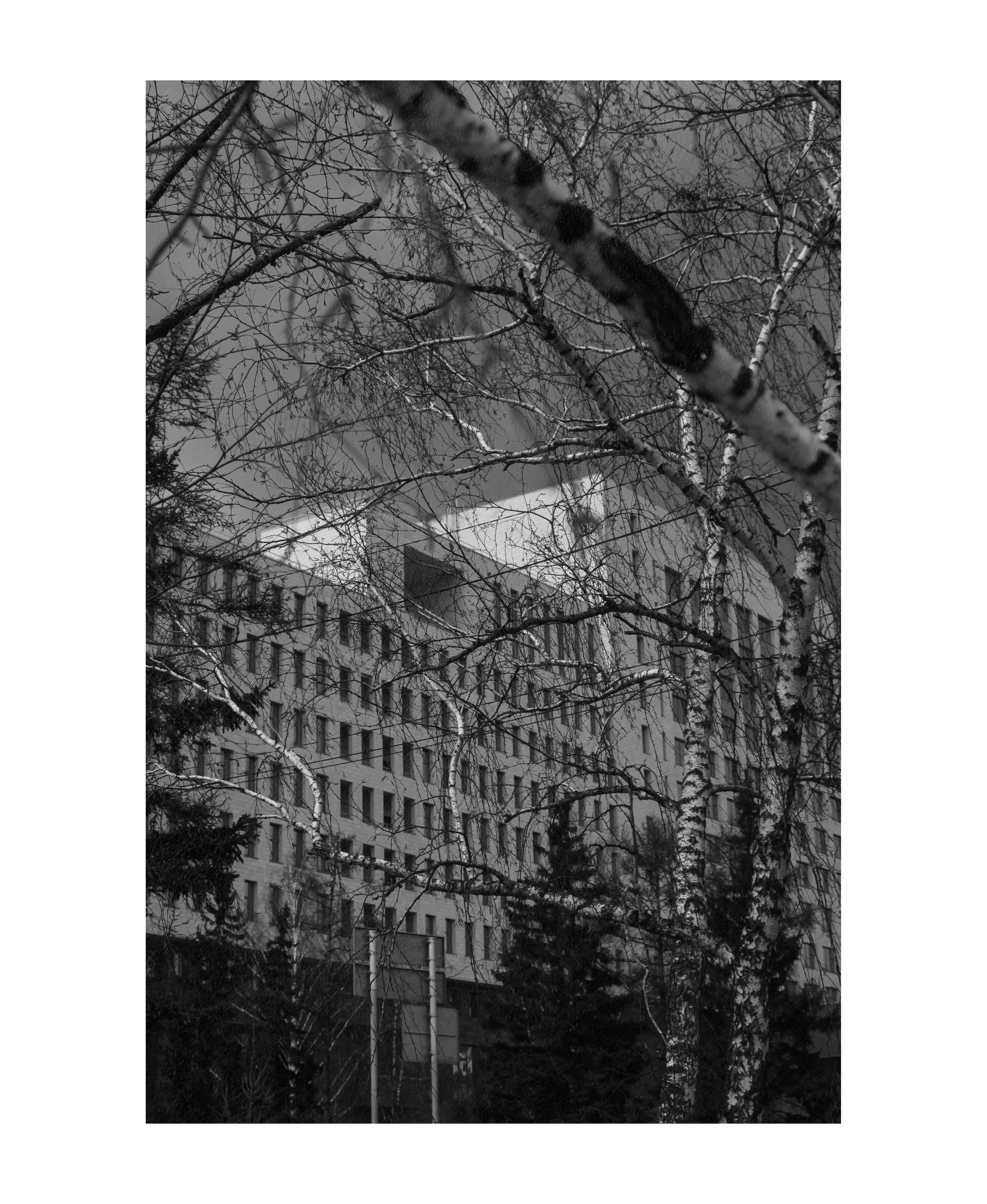 22.04.2023 | Красноярск. Kuznetsov | Фотограф в Красноярске