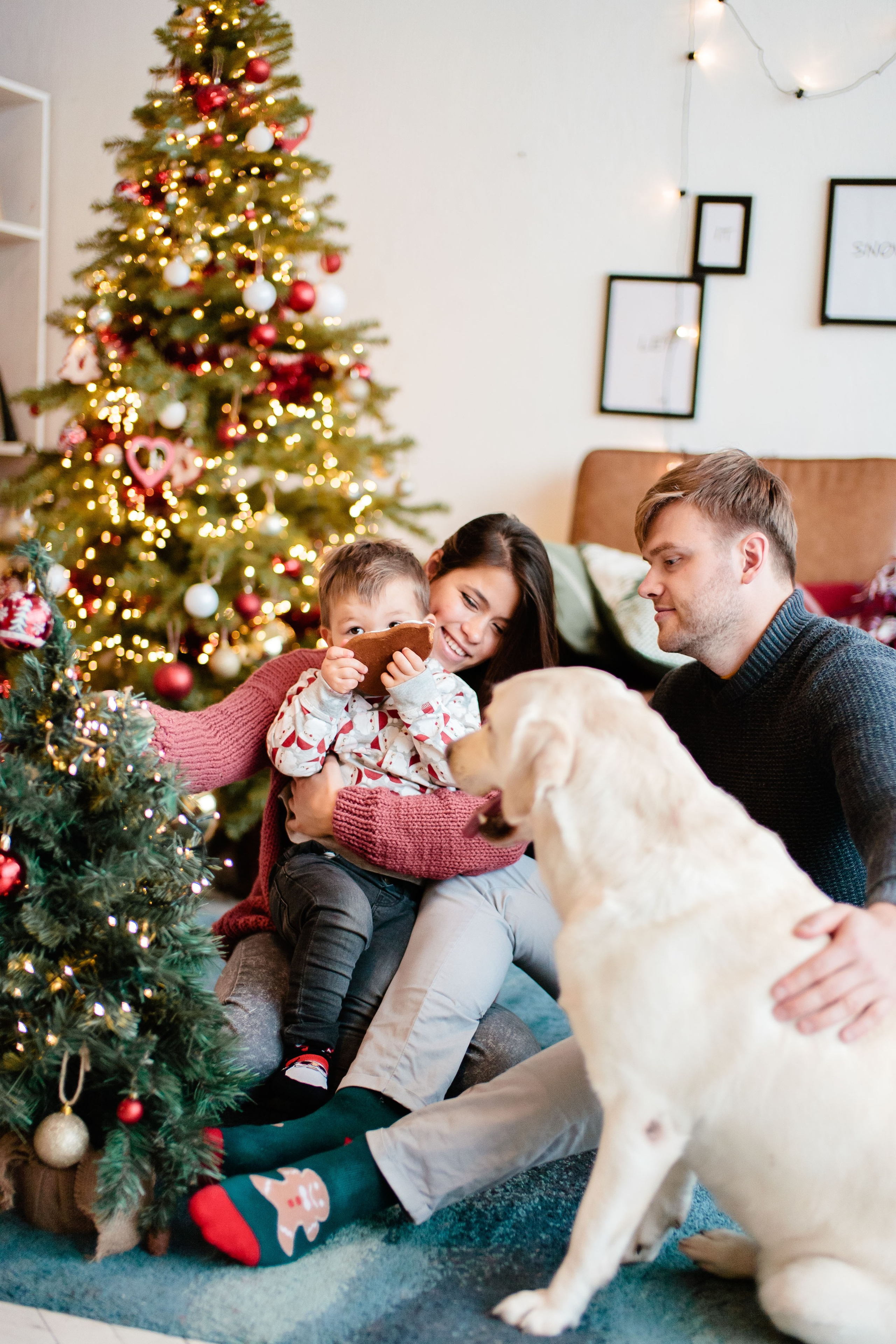 Семейная Новогодняя фотосессия в студии, фотограф в Москве