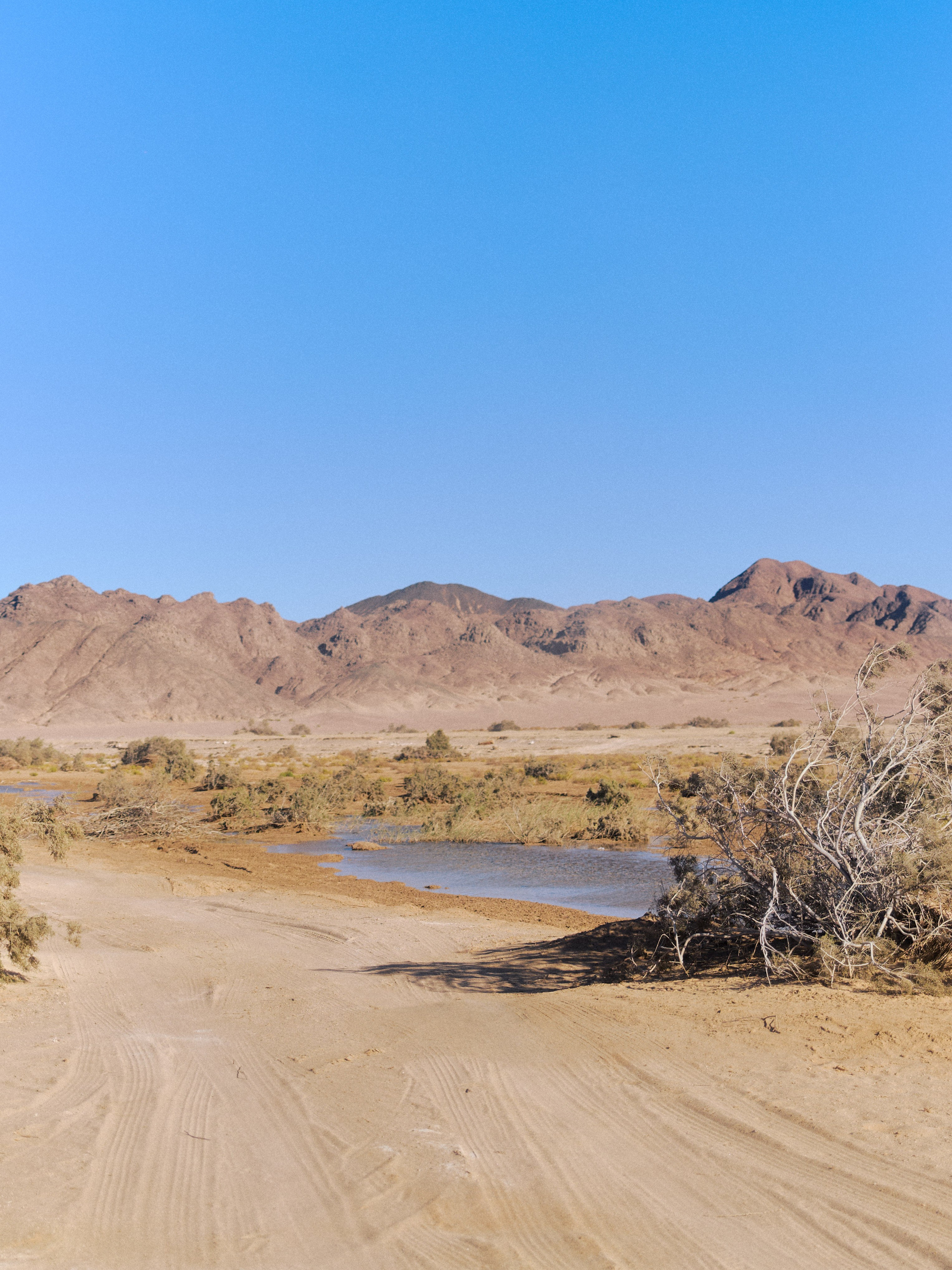 Природа. Jorgis Talè — photographer, kind person, teacher of arts and other mag