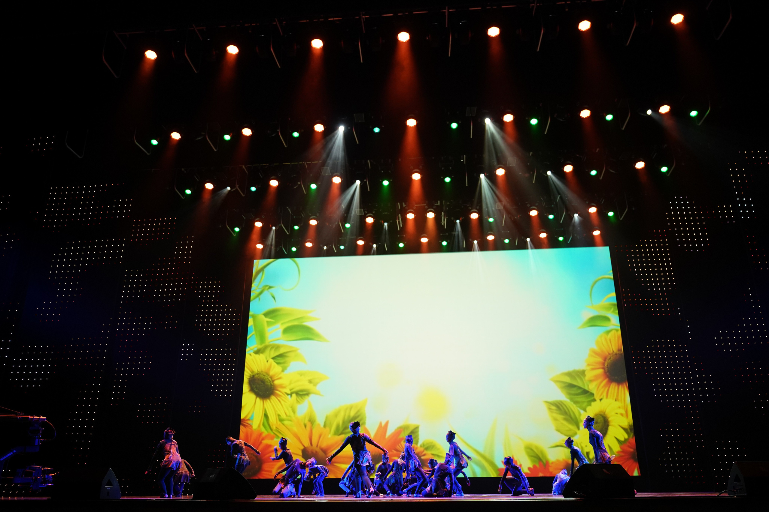 13 мая, г. Москва, Кремль. Золотое яблочко