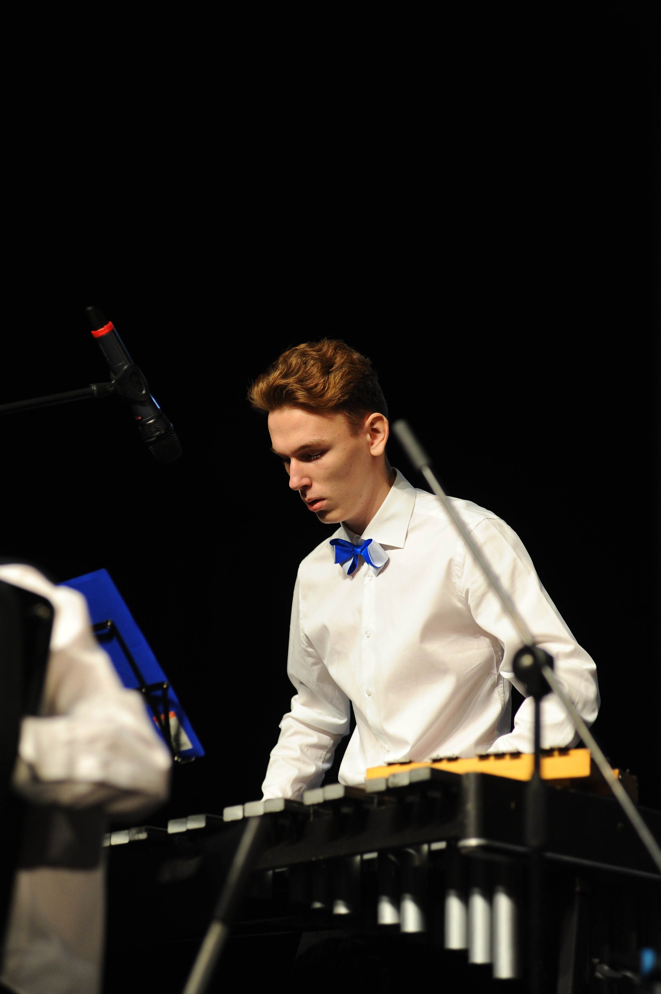 16 ноября, г. Красноярск. Золотое яблочко