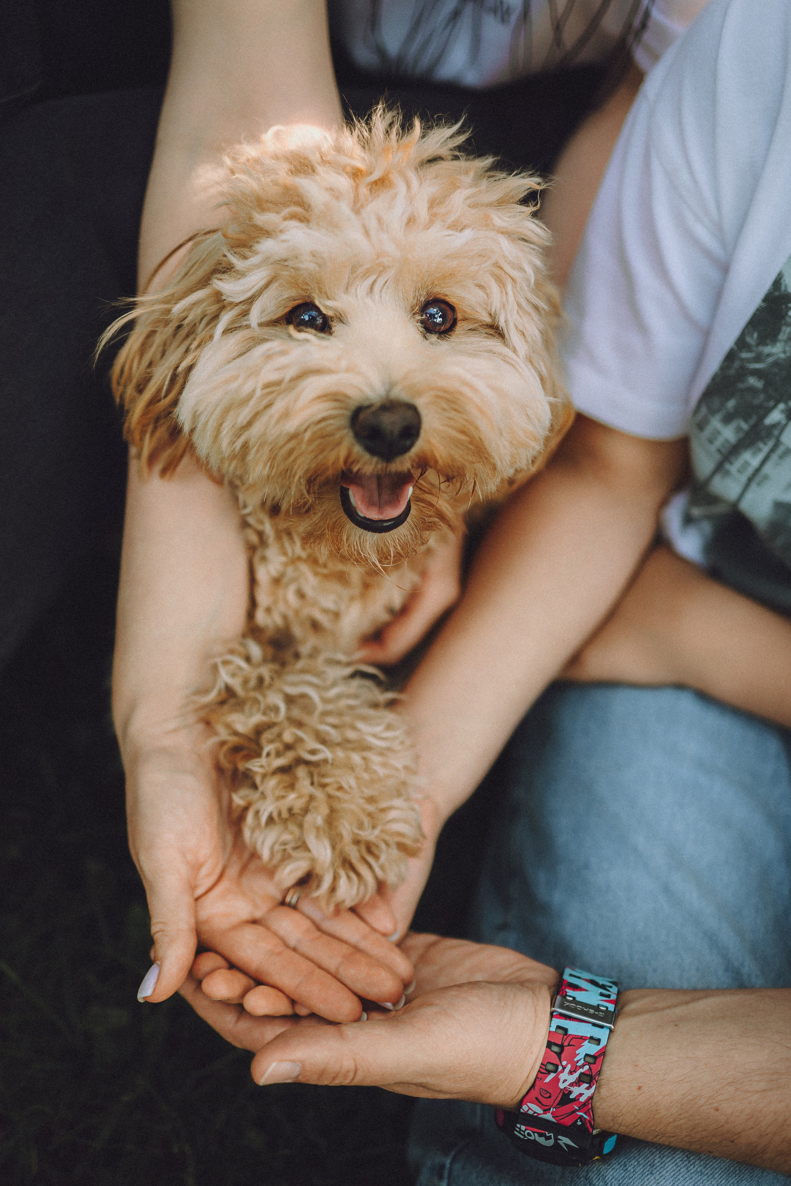 Фред и его семья