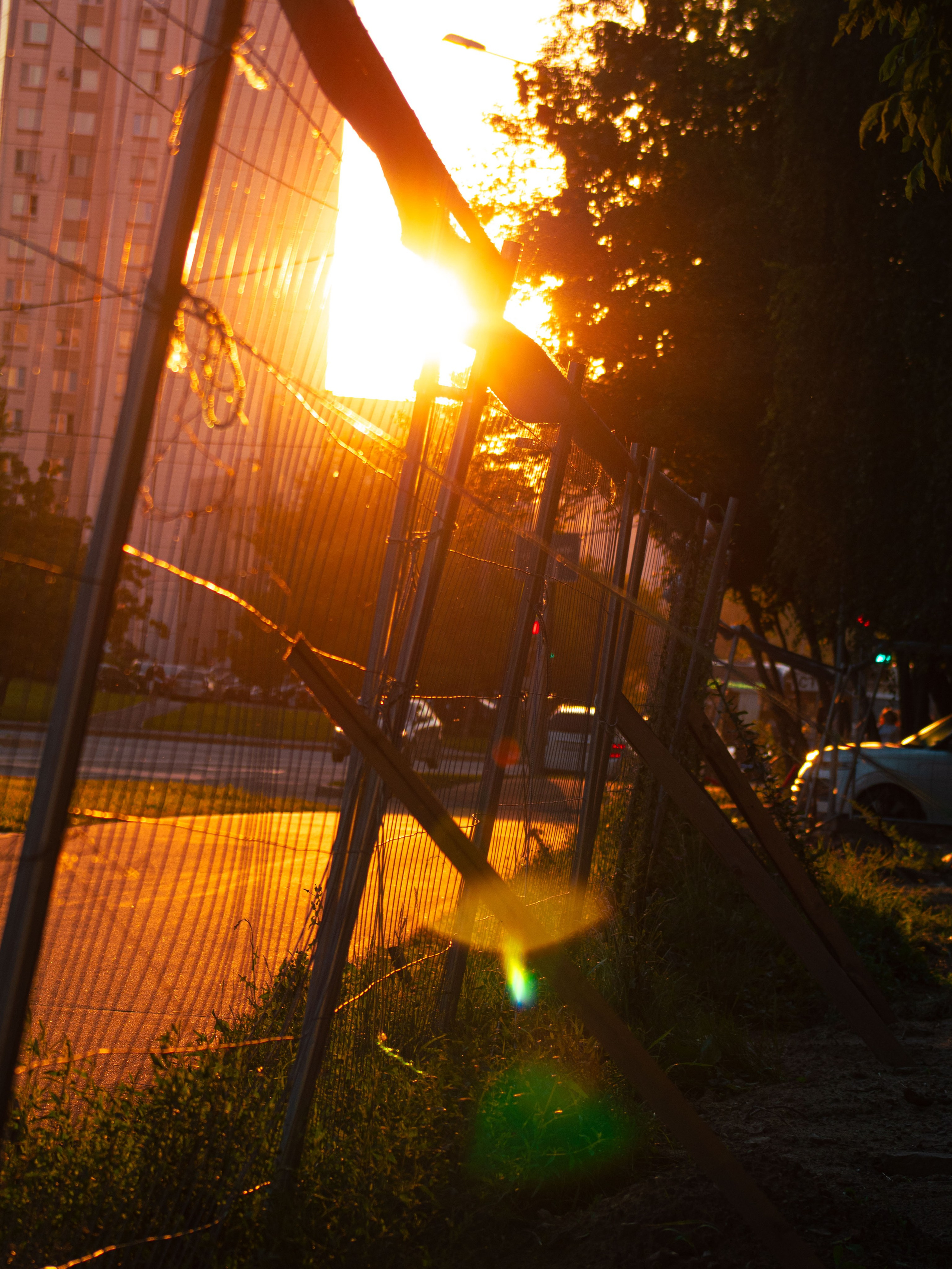 Лето 2024. Dmitriy [KCCC] is a pretty cool photographer