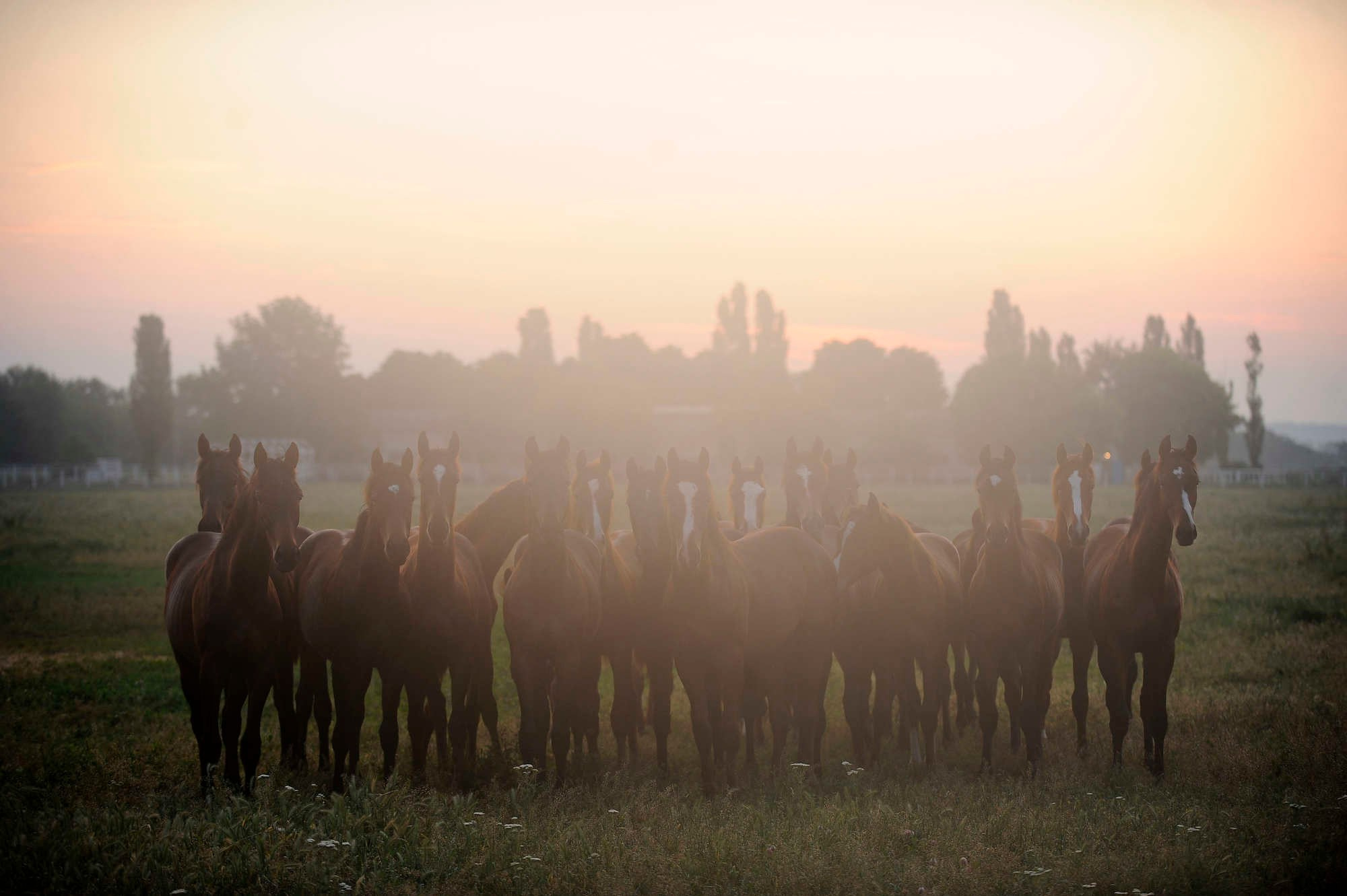 Фотограф Михаил Мордасов. 18 лет работы профессиональным фотографом. Репортажный фотограф в Сочи — Михаил Мордасов