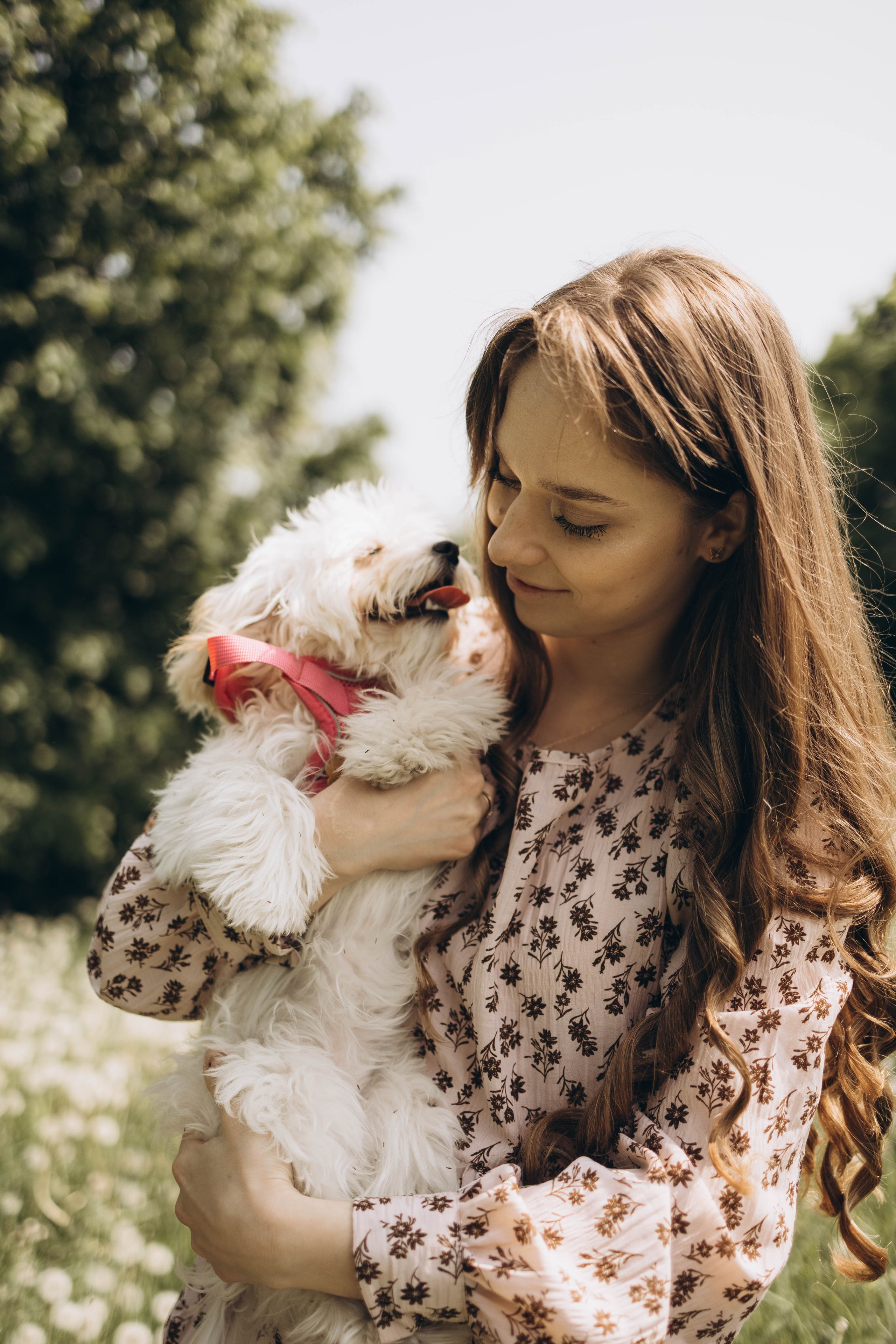 Полина, Дима, Тёма и Мили. Семейный фотограф в Москве Виктория Ястребинская