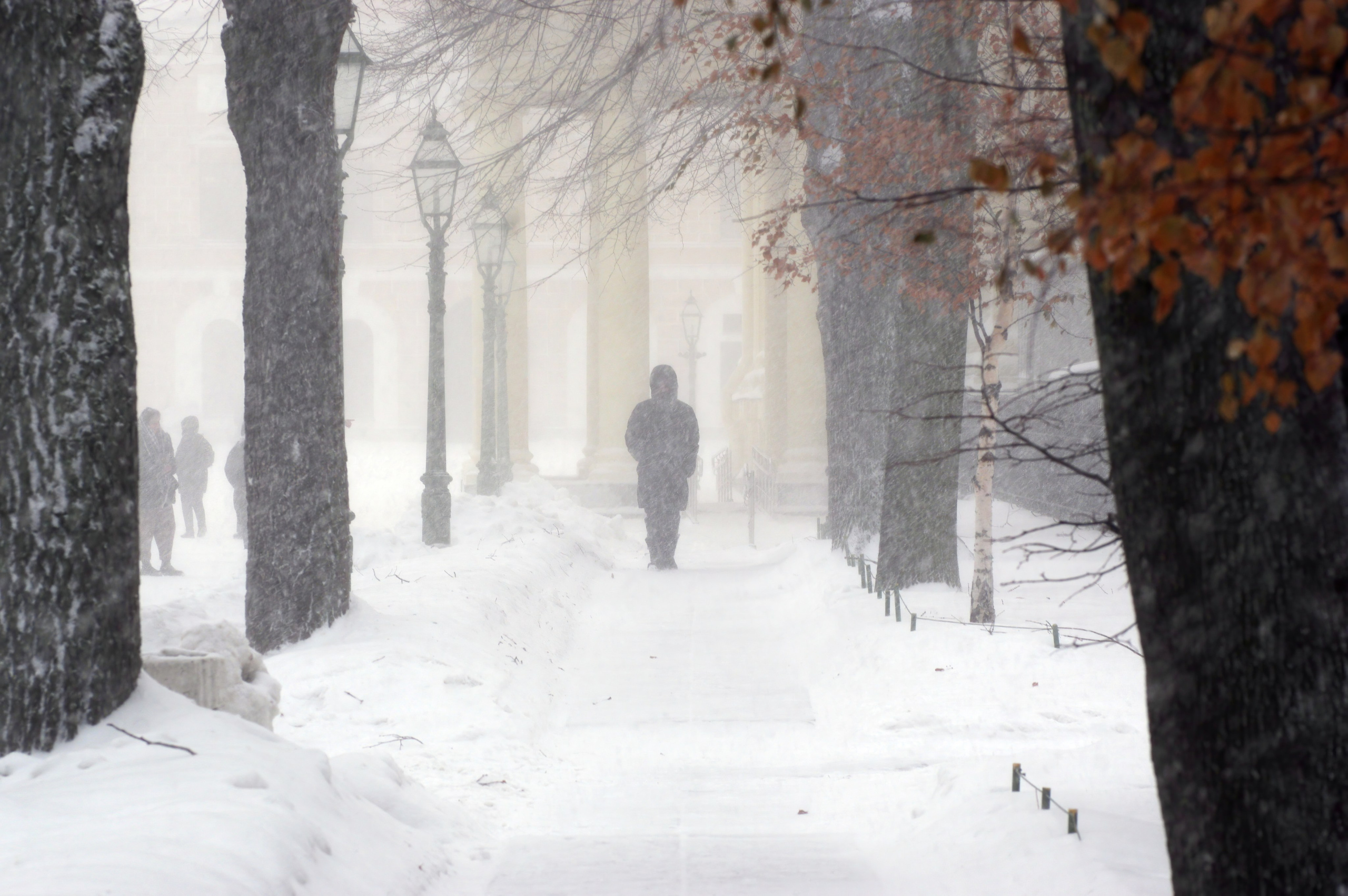 Петропавловская крепость. Вадим Шейдин