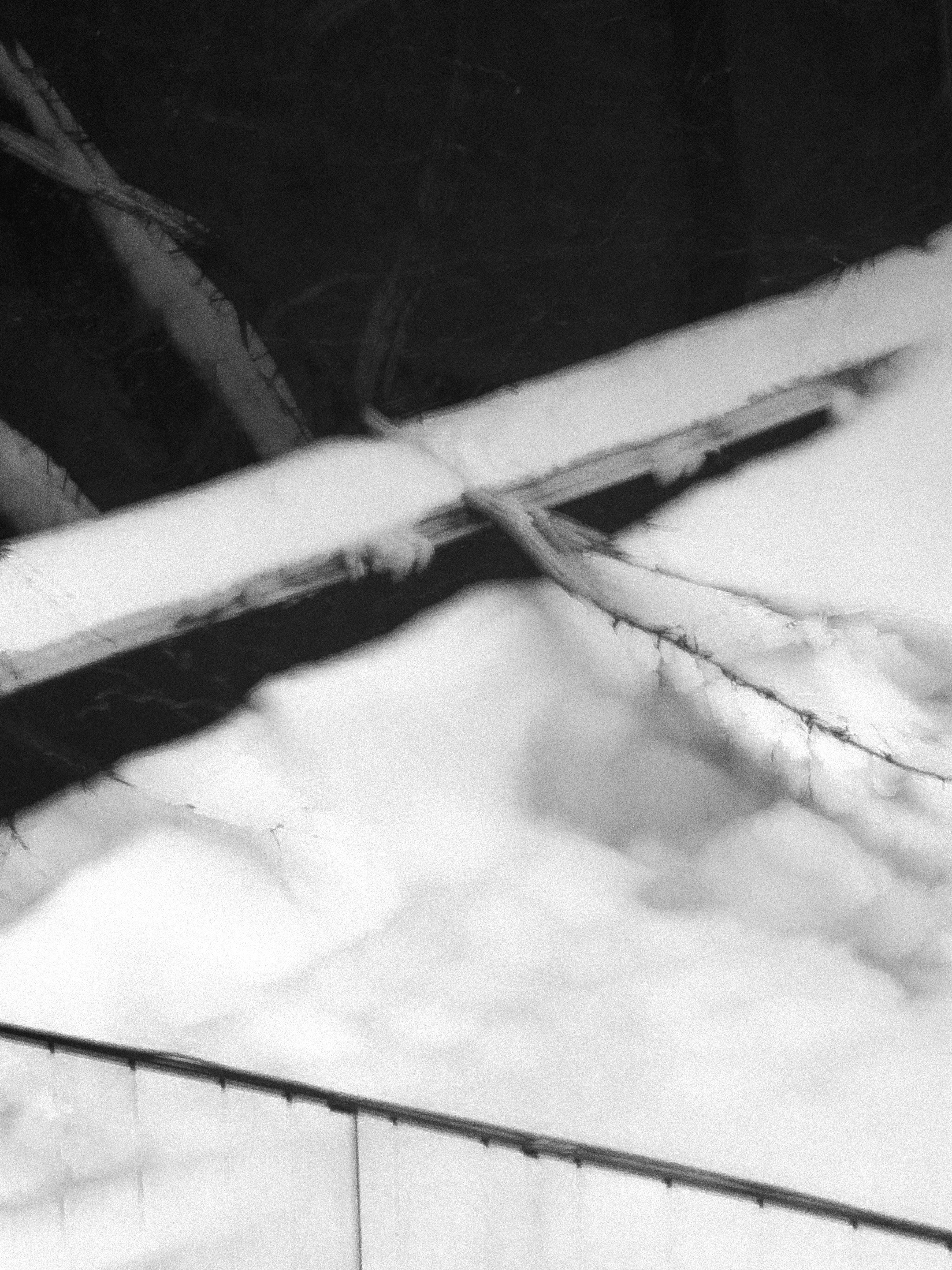 DIMA BURZA , аймпрессионизм , shotoniphone , 17 pro , mobile photography , мобильная фотография , Дима Бурза , cuntentmaker