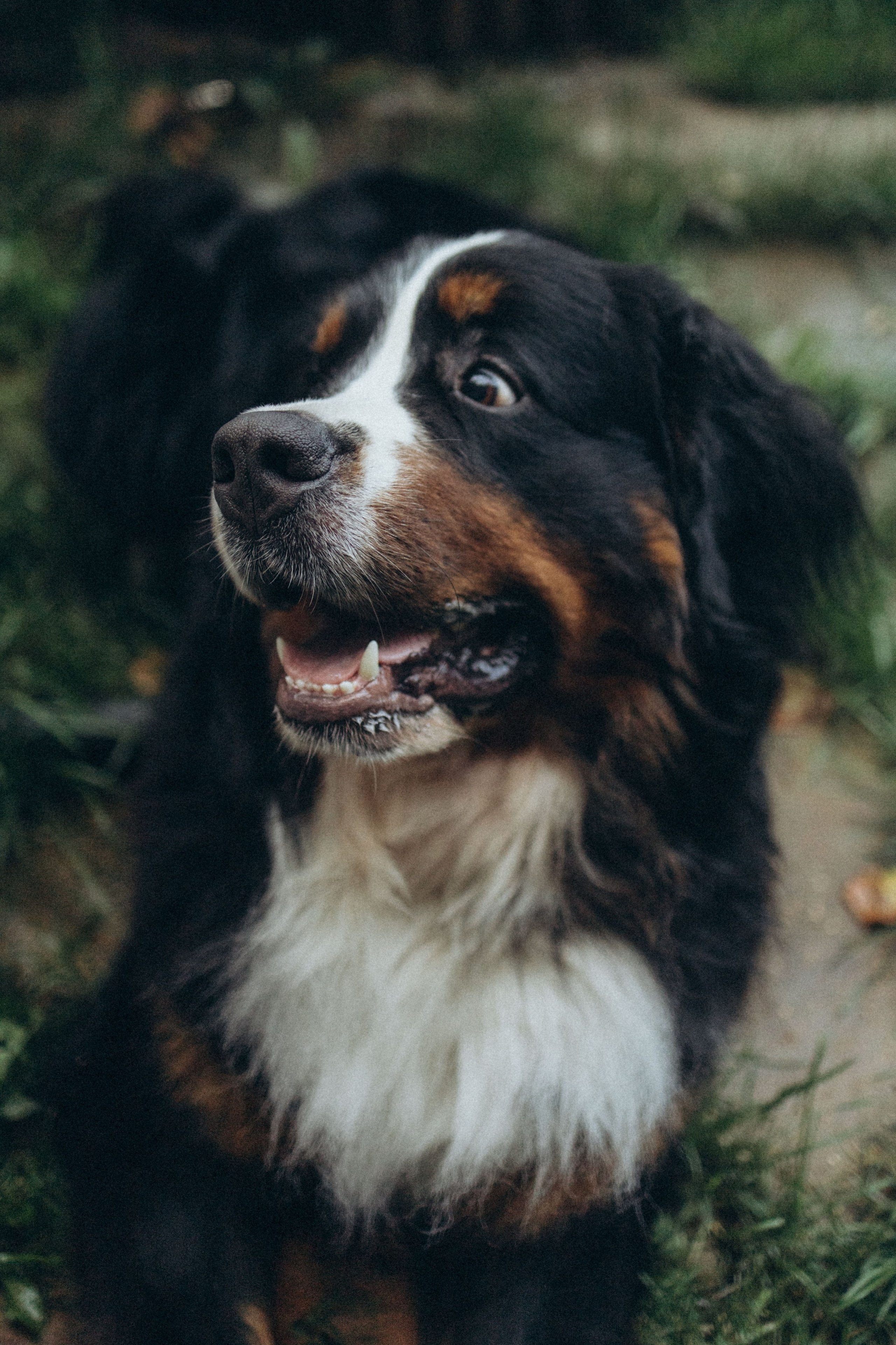 Таня и Тери