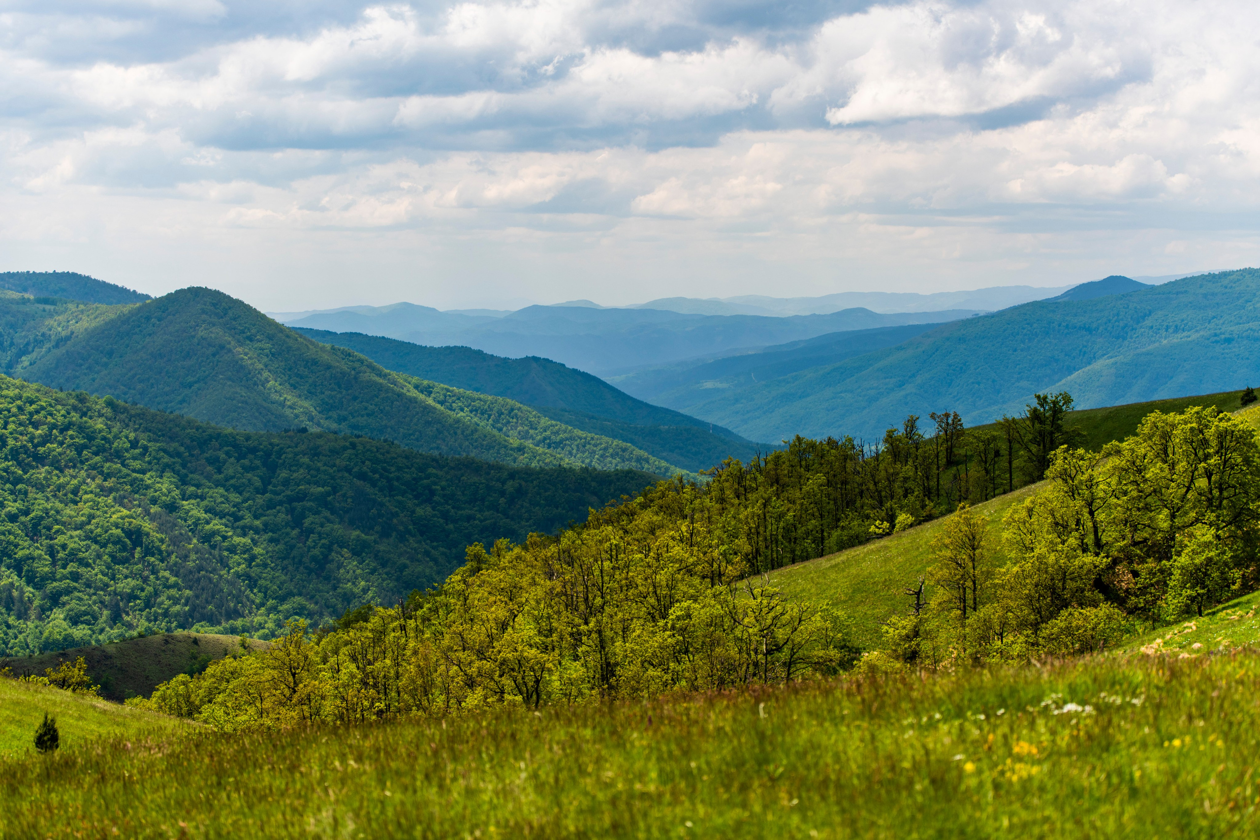 Столови. Сербия. Фотограф в Москве. Шахабудин