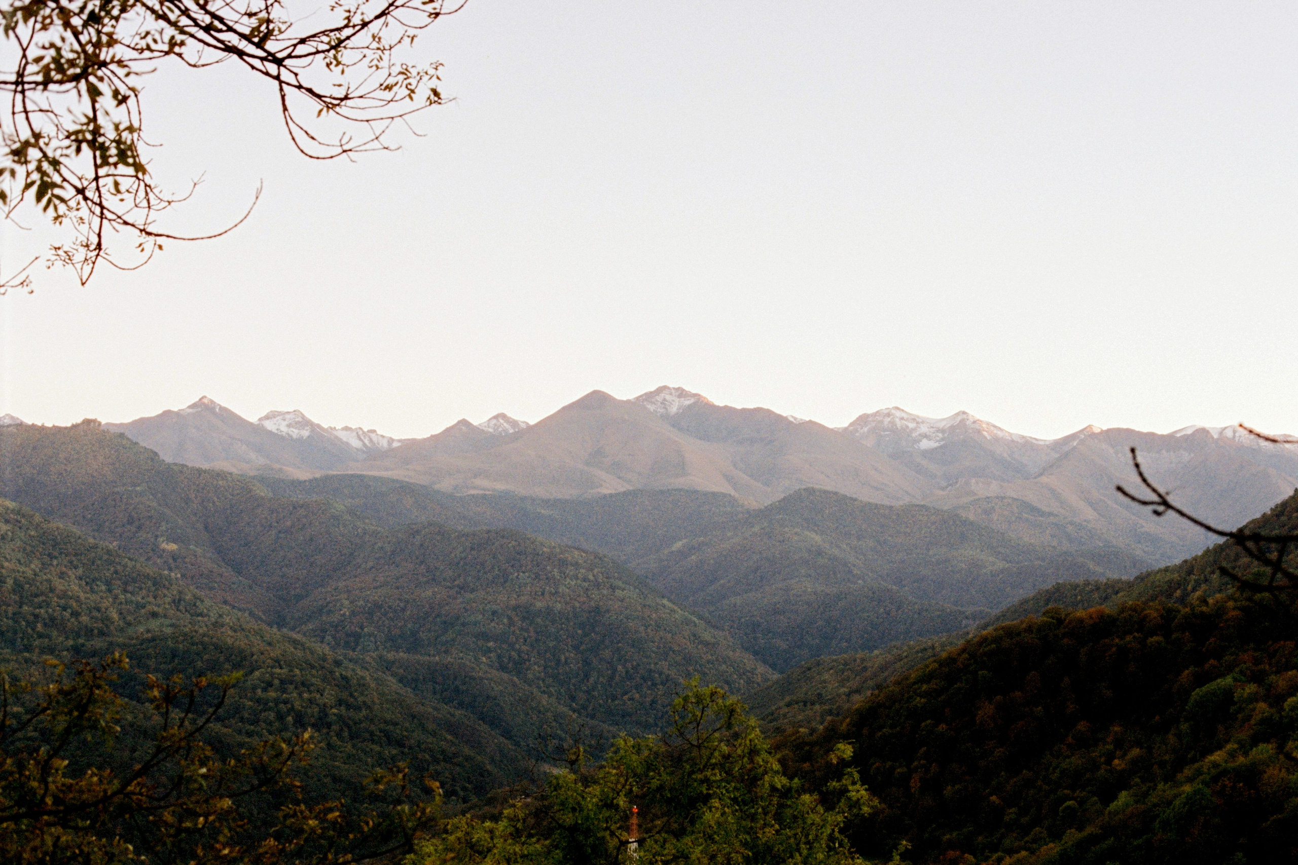 KAVKAZ. Kirill Shashkov
