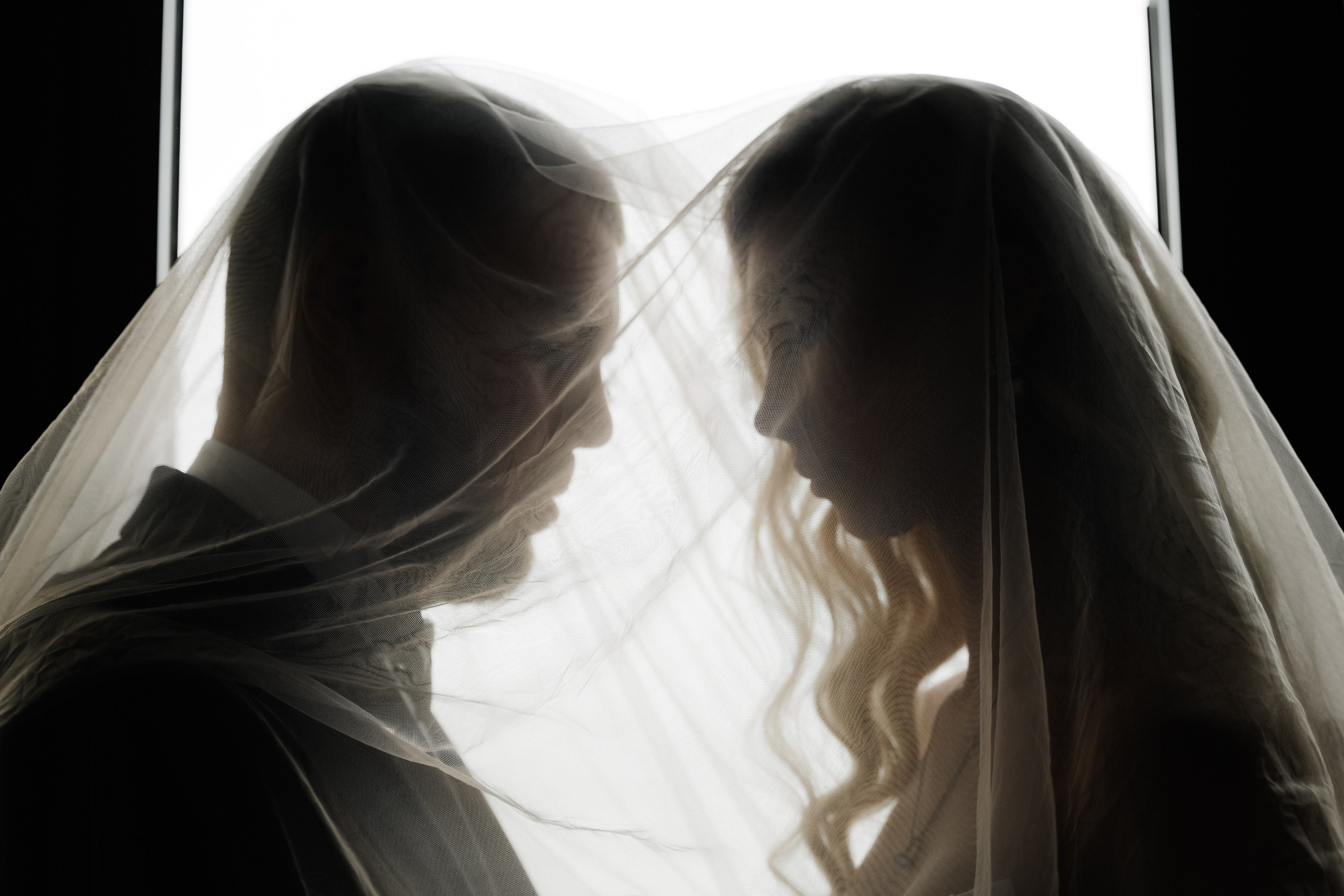 Astoria. VISUAL ARTIST · KRONGAUZ ANASTASIA