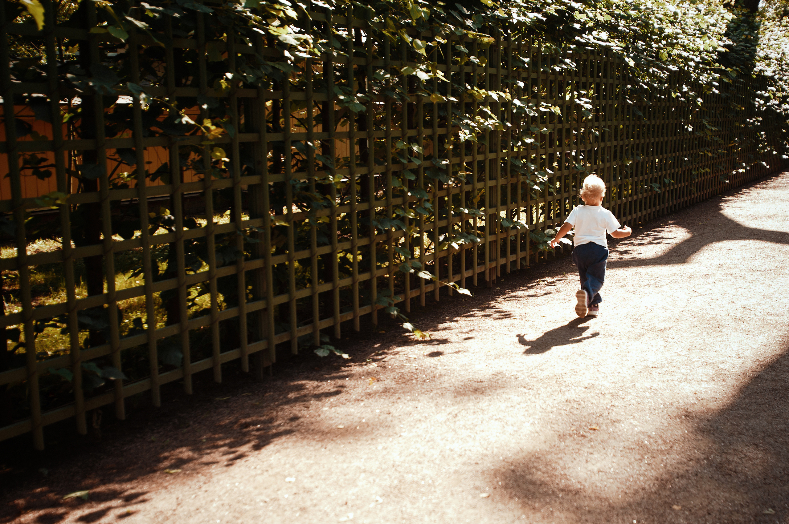 СЕМЬЯ. Фотостудия во Всеволожске. Подходит для всех творческих проектов