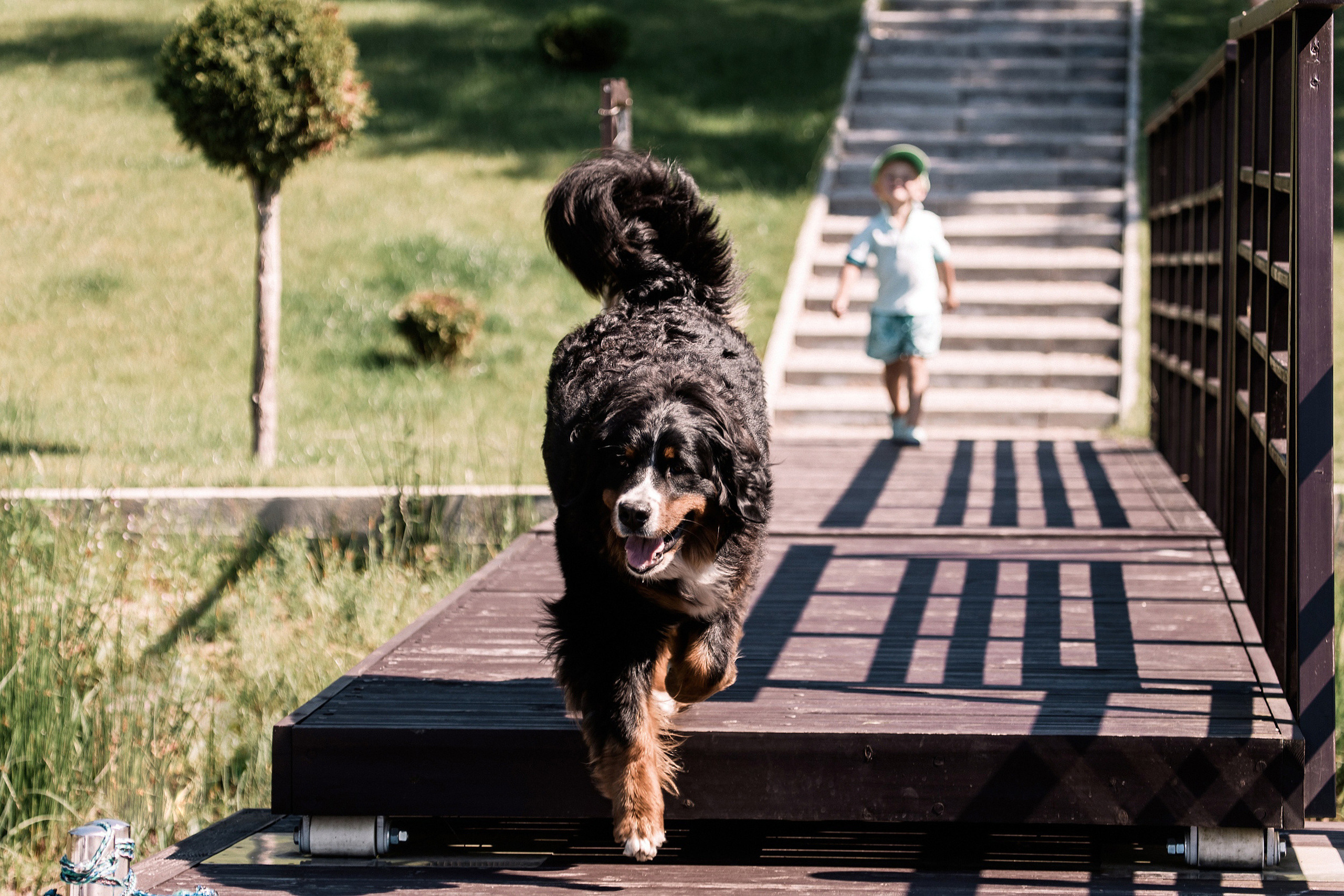 СЕМЬЯ. Фотостудия во Всеволожске. Подходит для всех творческих проектов