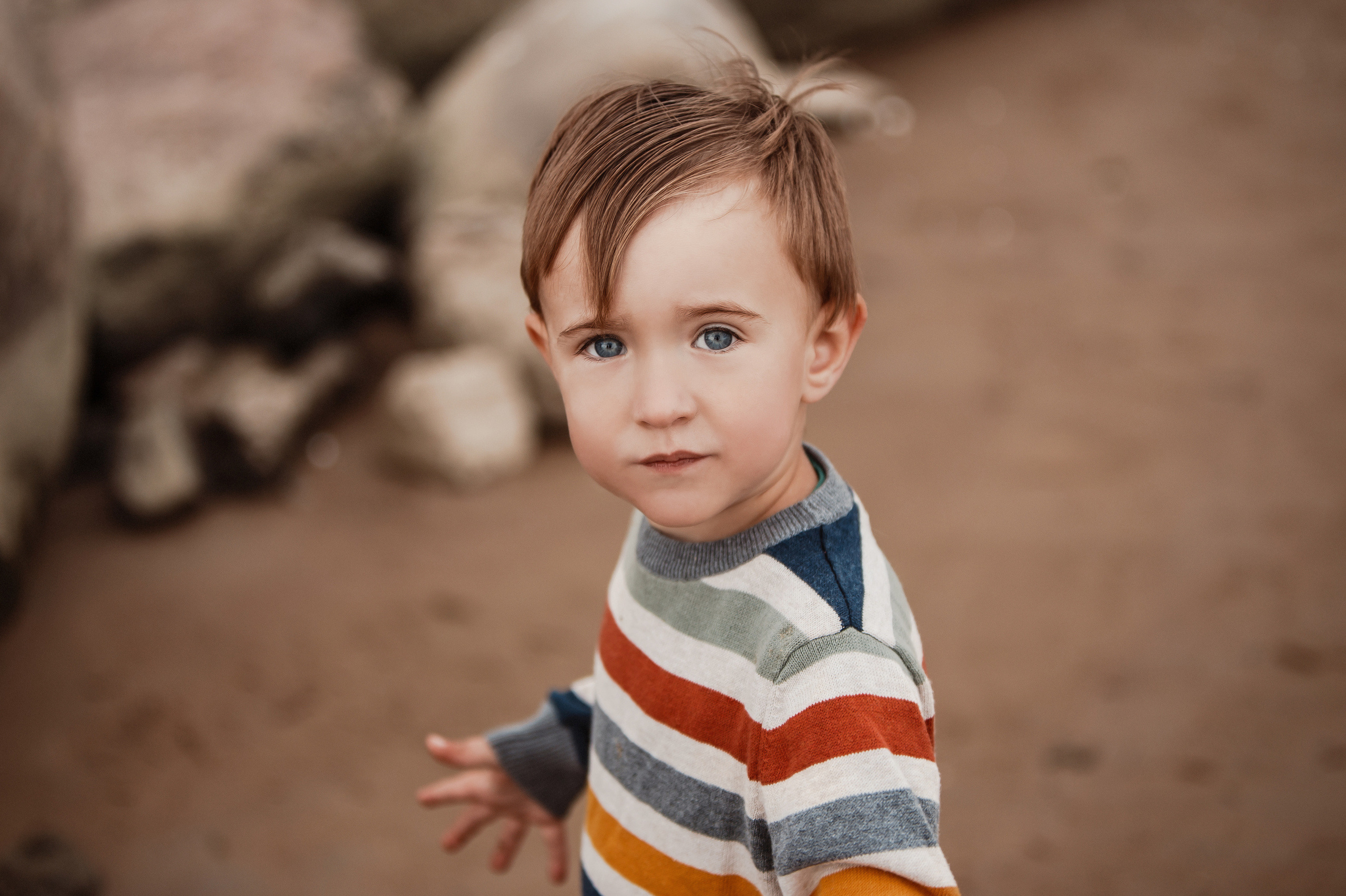 СЕМЬЯ. Фотостудия во Всеволожске. Подходит для всех творческих проектов