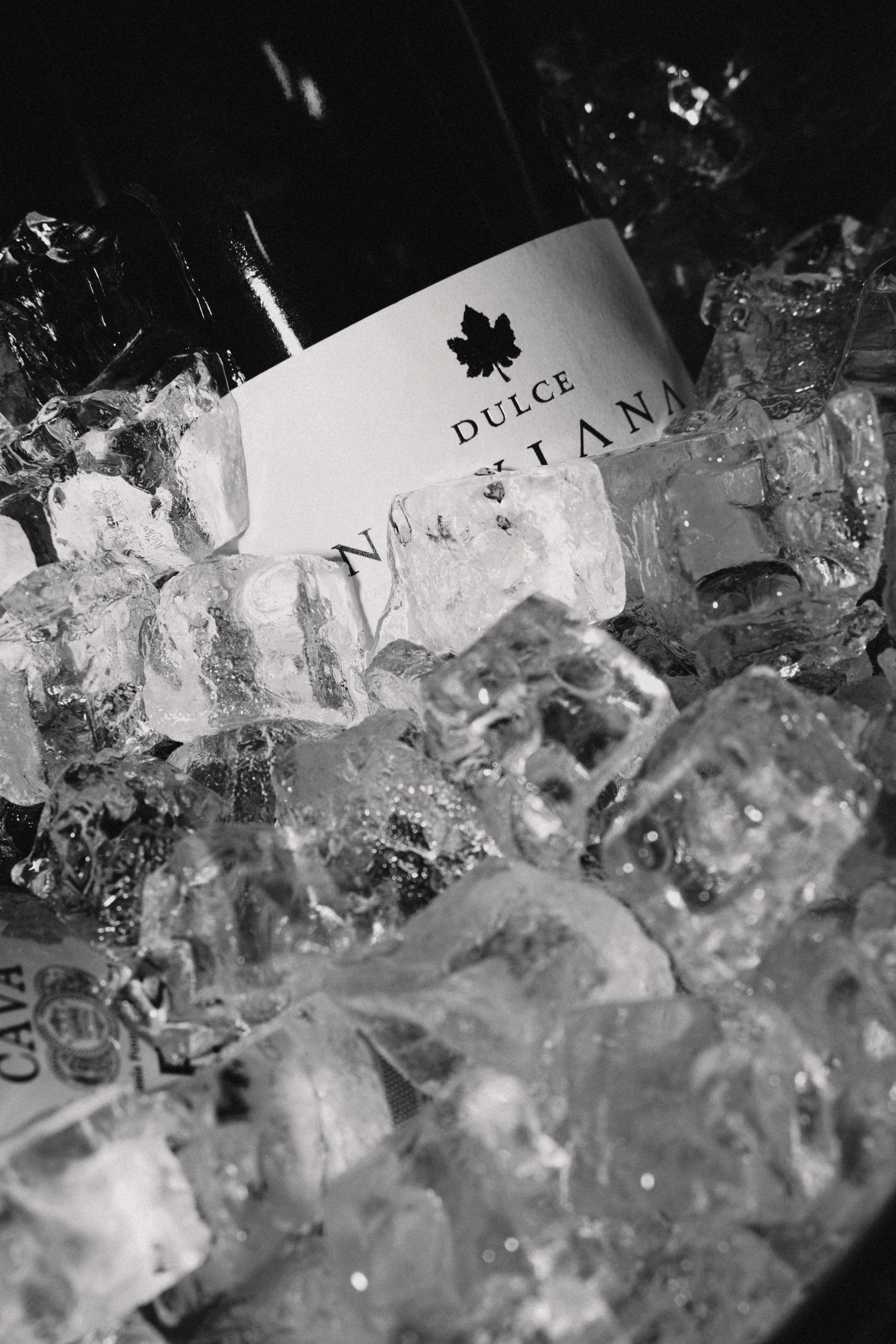 Топрак и Ирина. MK Event — организация мероприятий в Екатеринбурге