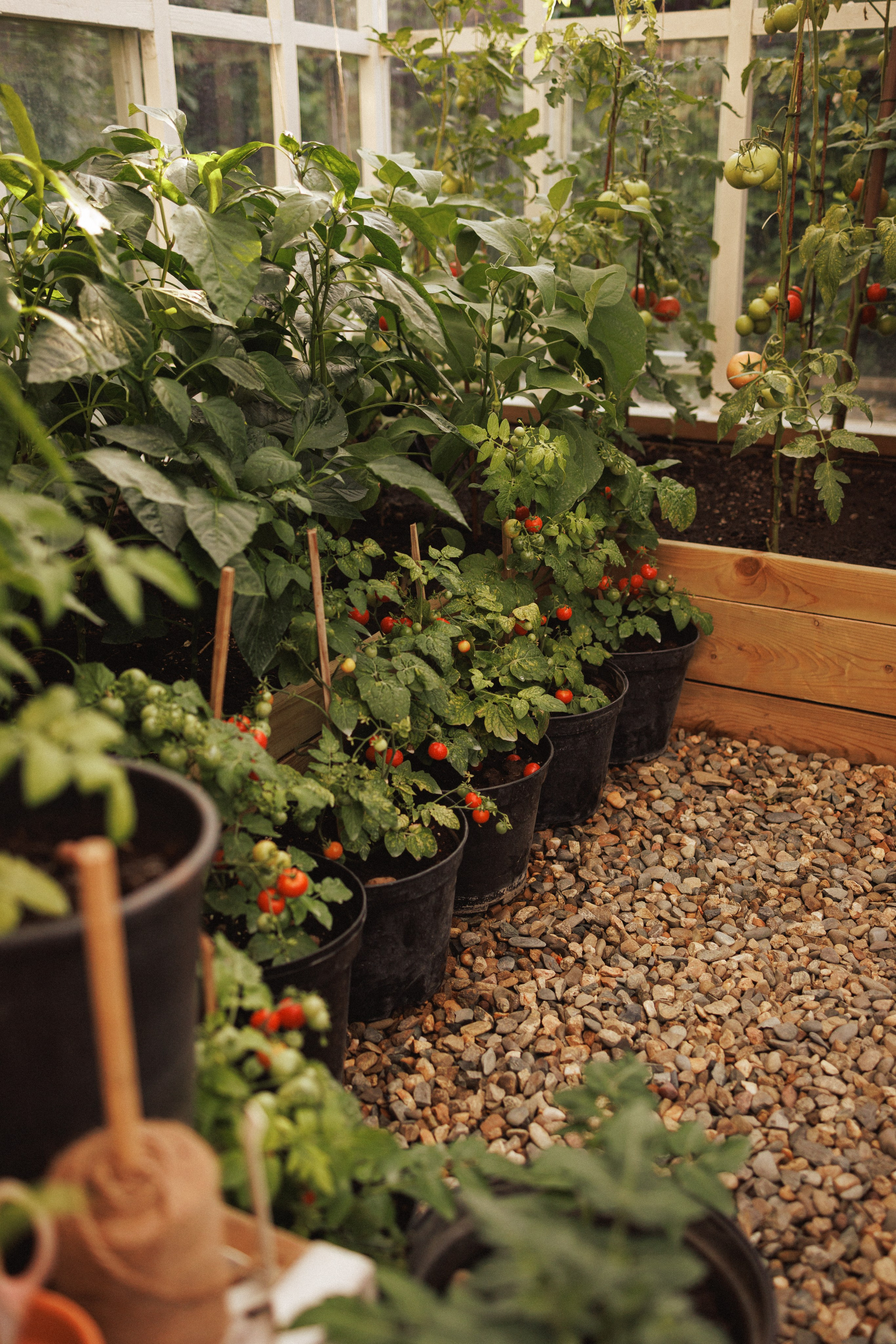 Семейная фотосессия в деревенском стиле, фотостудия «Теплица», город Краснодар. Семейный и детский фотограф в Краснодаре Анна Трашкова
