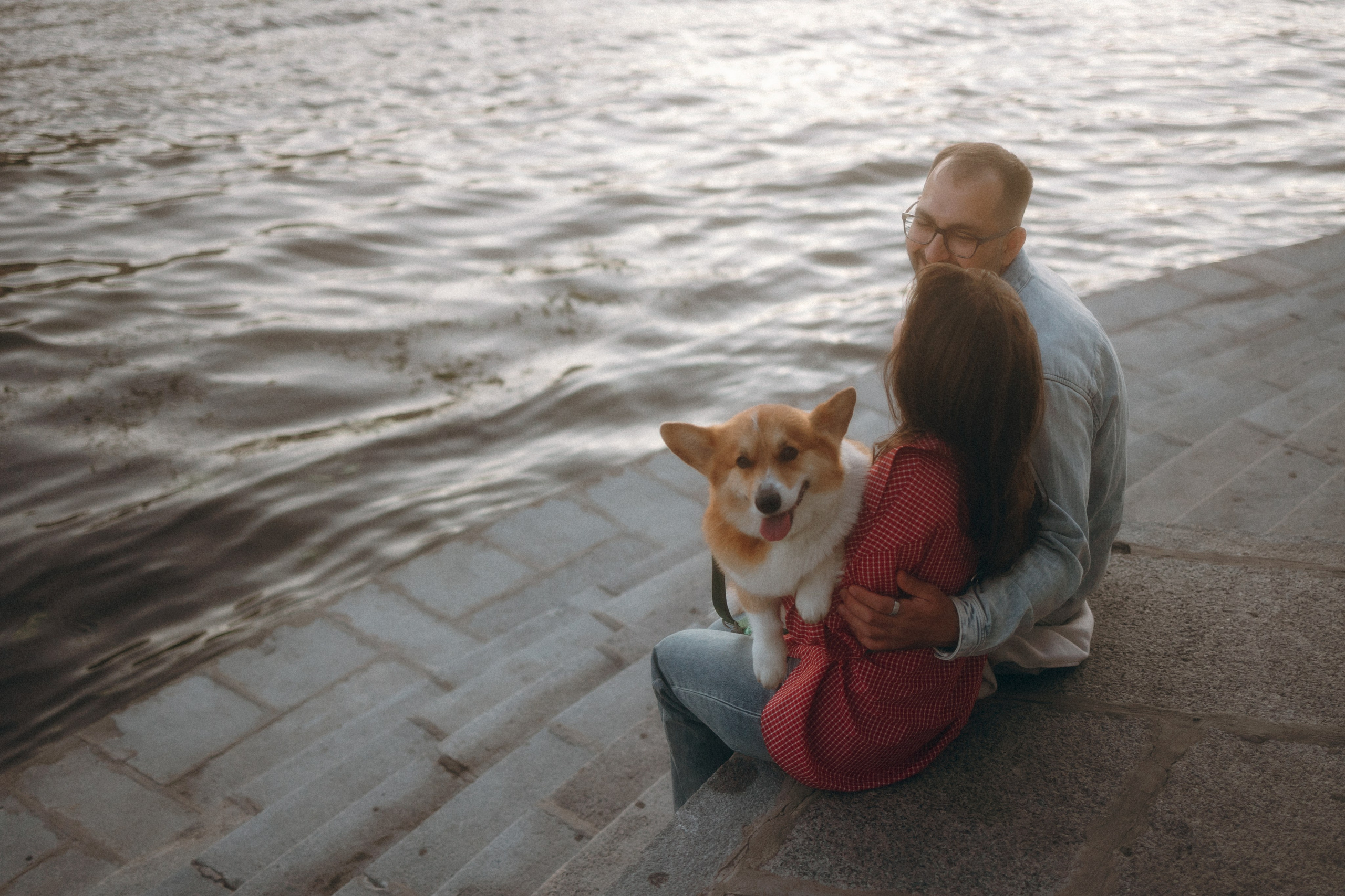 Момо, Люда и Эд. Фотограф анималист Анастасия Пикей